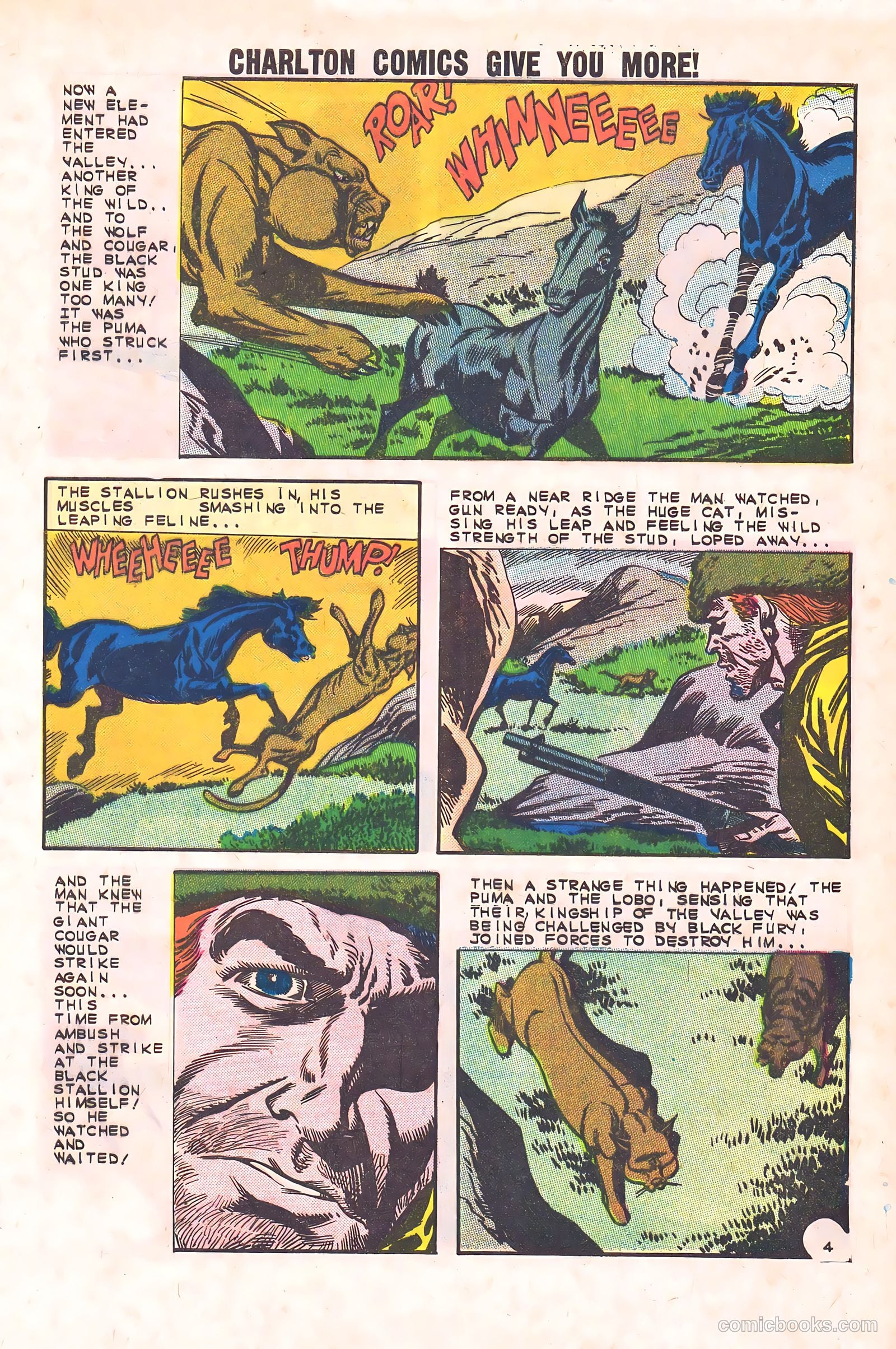 Black Fury #44 (1963) — page 29 of 36