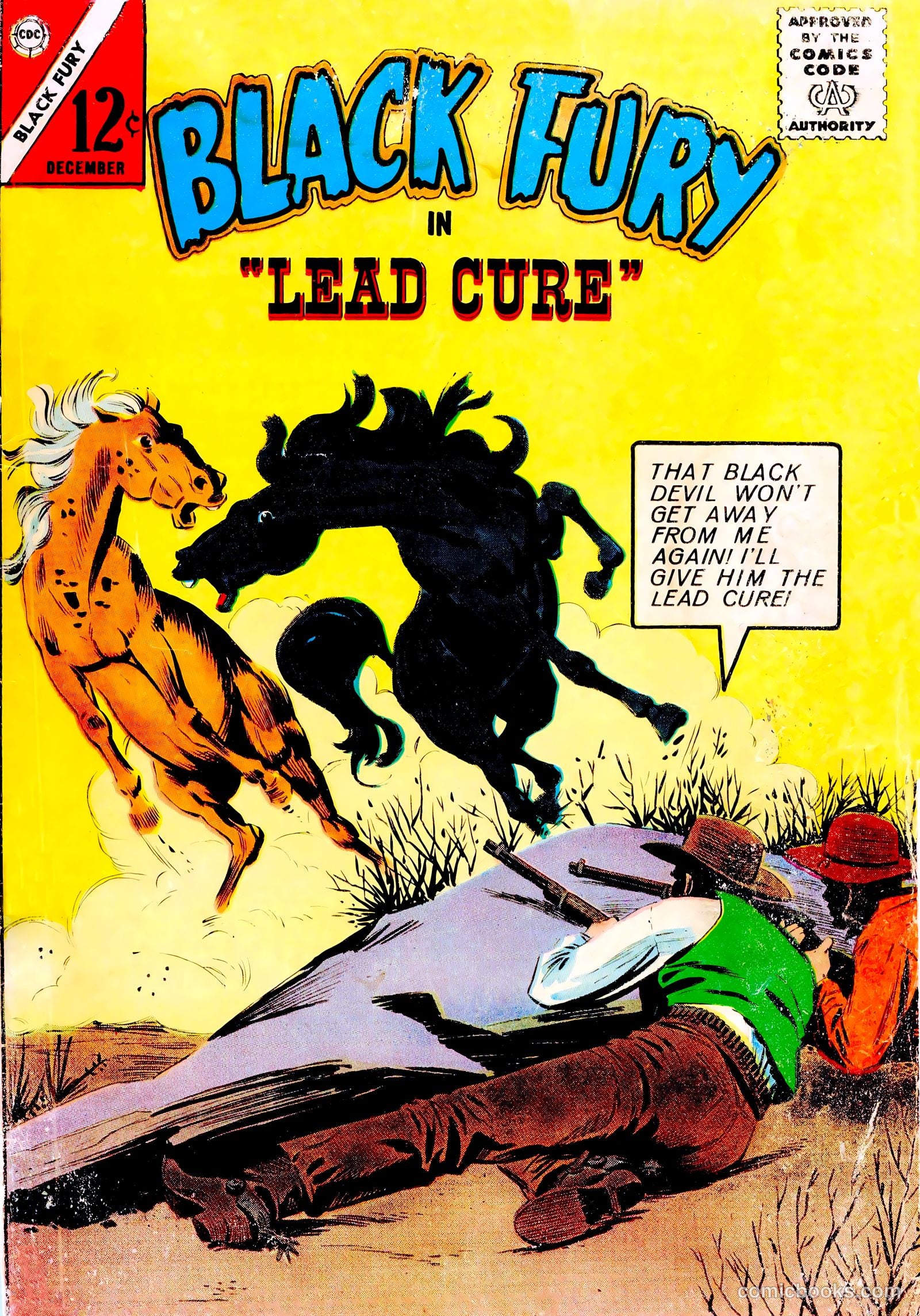 Black Fury #45