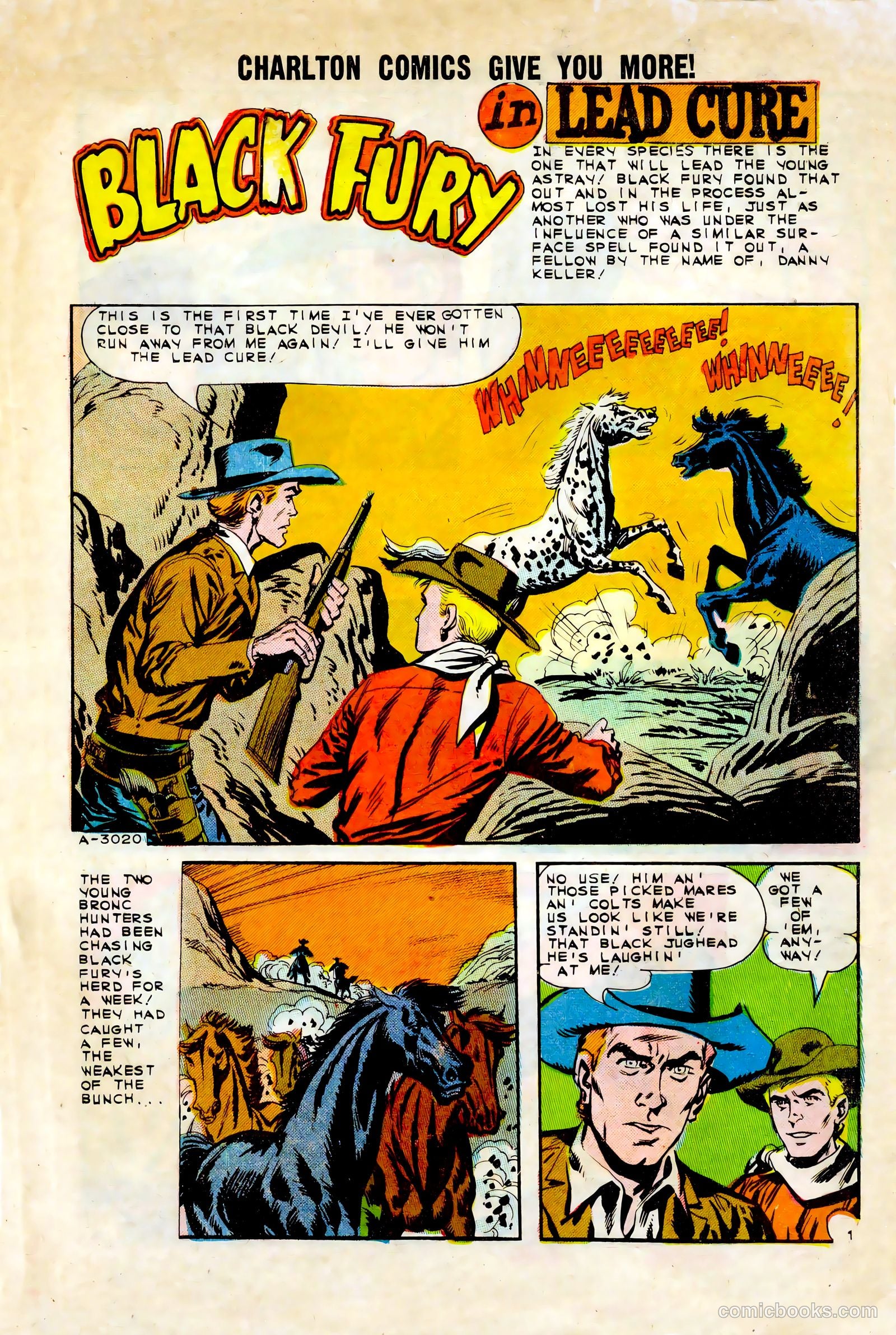 Black Fury #45 (1963) — page 3 of 36