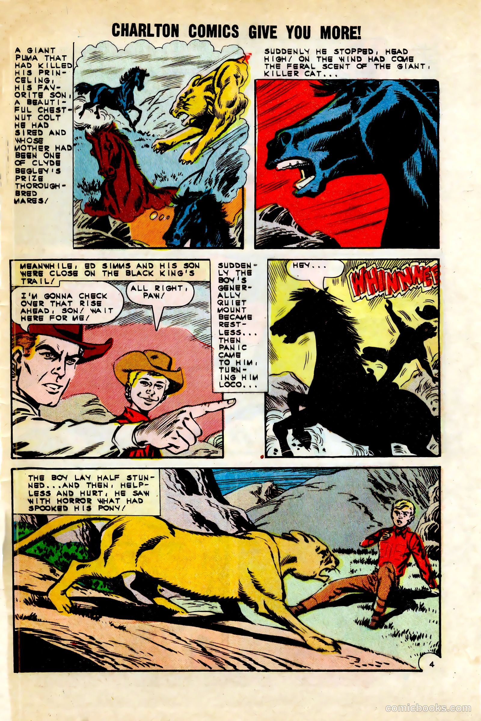 Black Fury #45 (1963) — page 29 of 36