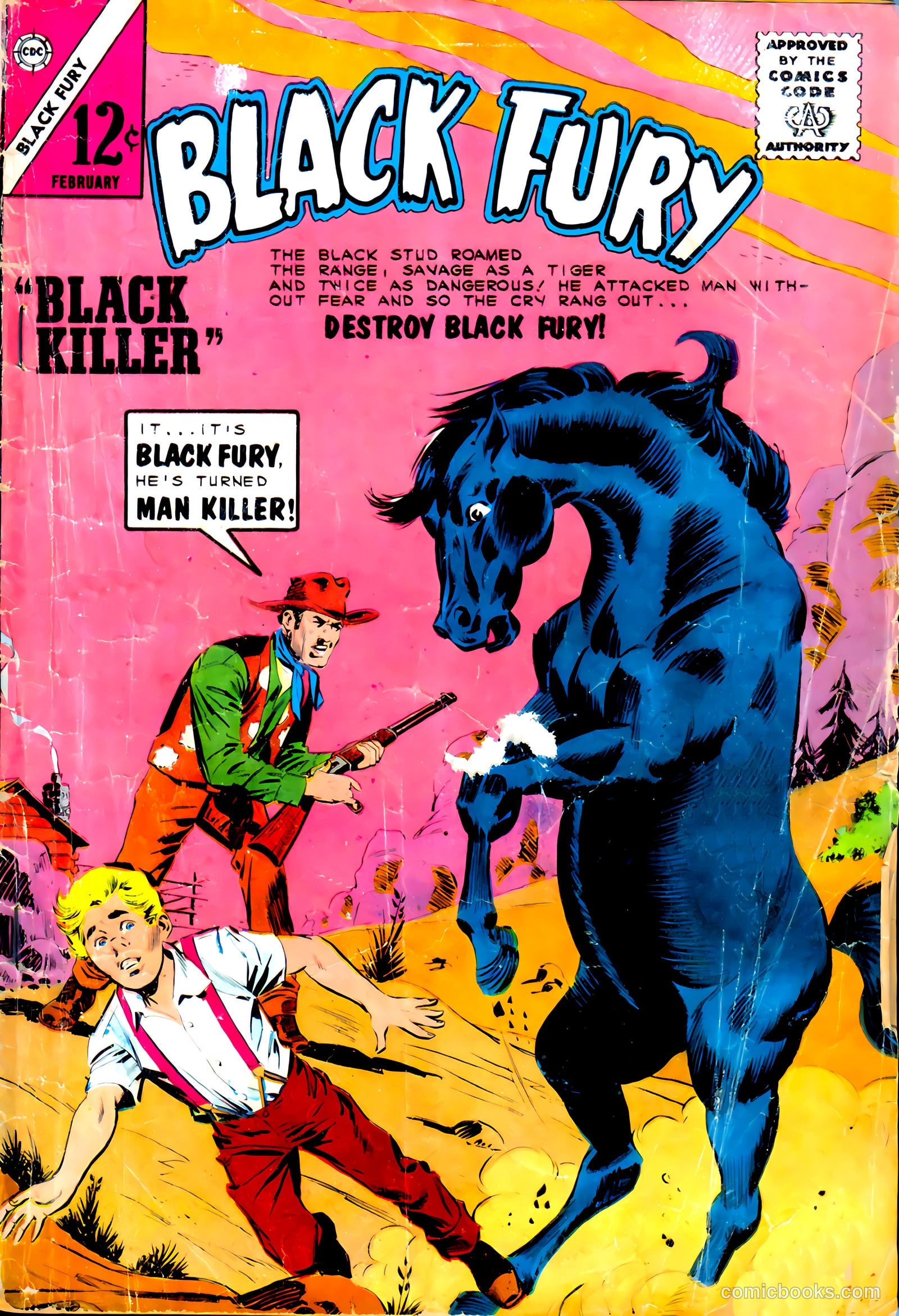 Black Fury #46