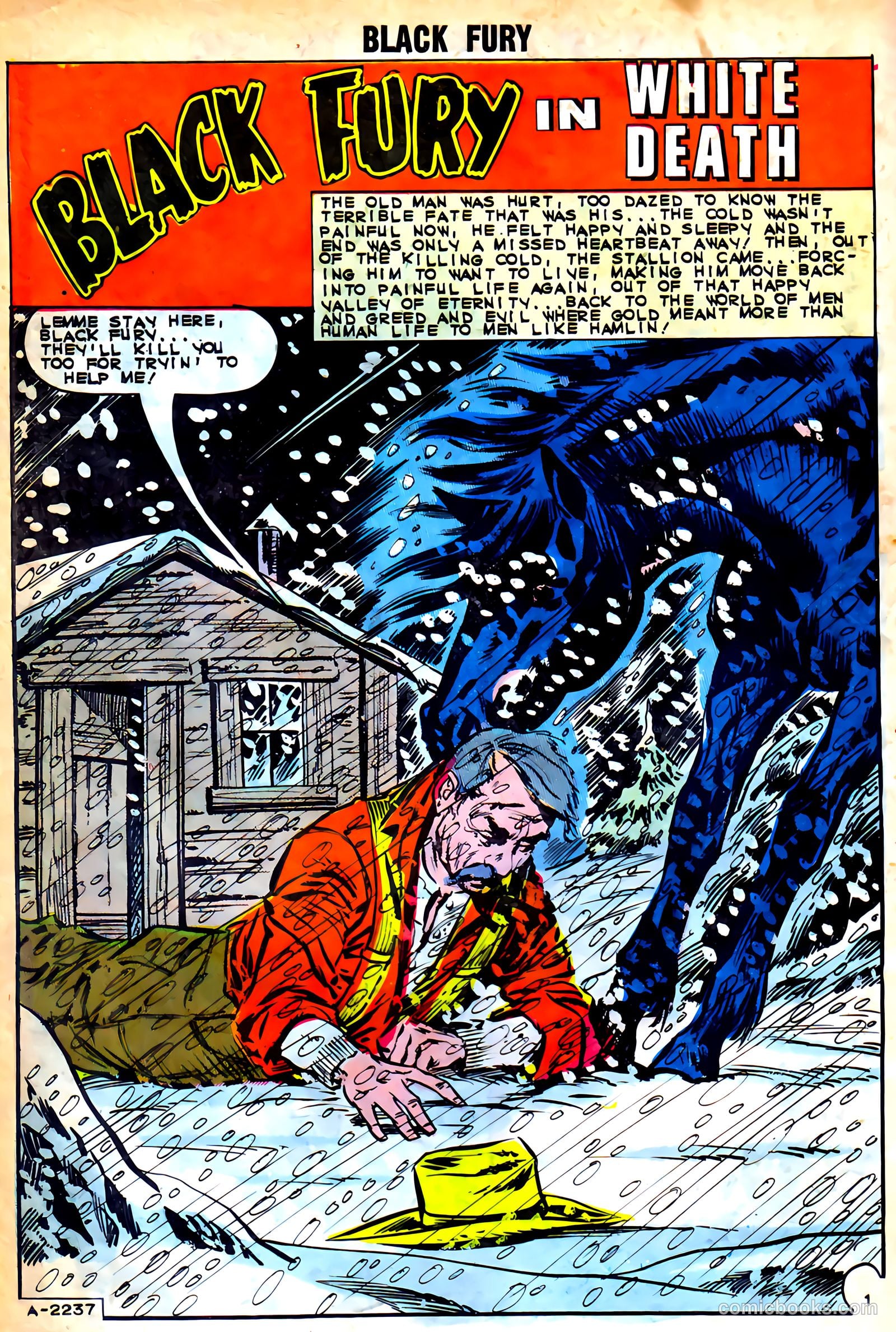 Black Fury #46 (1964) — page 10 of 37