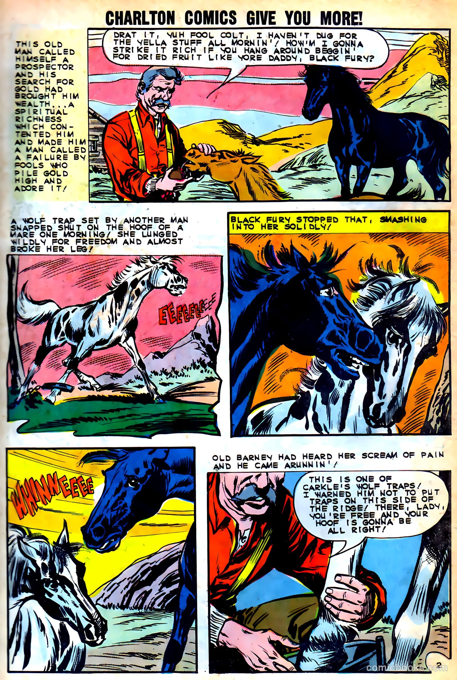 Black Fury #46 (1964) — page 11 of 37