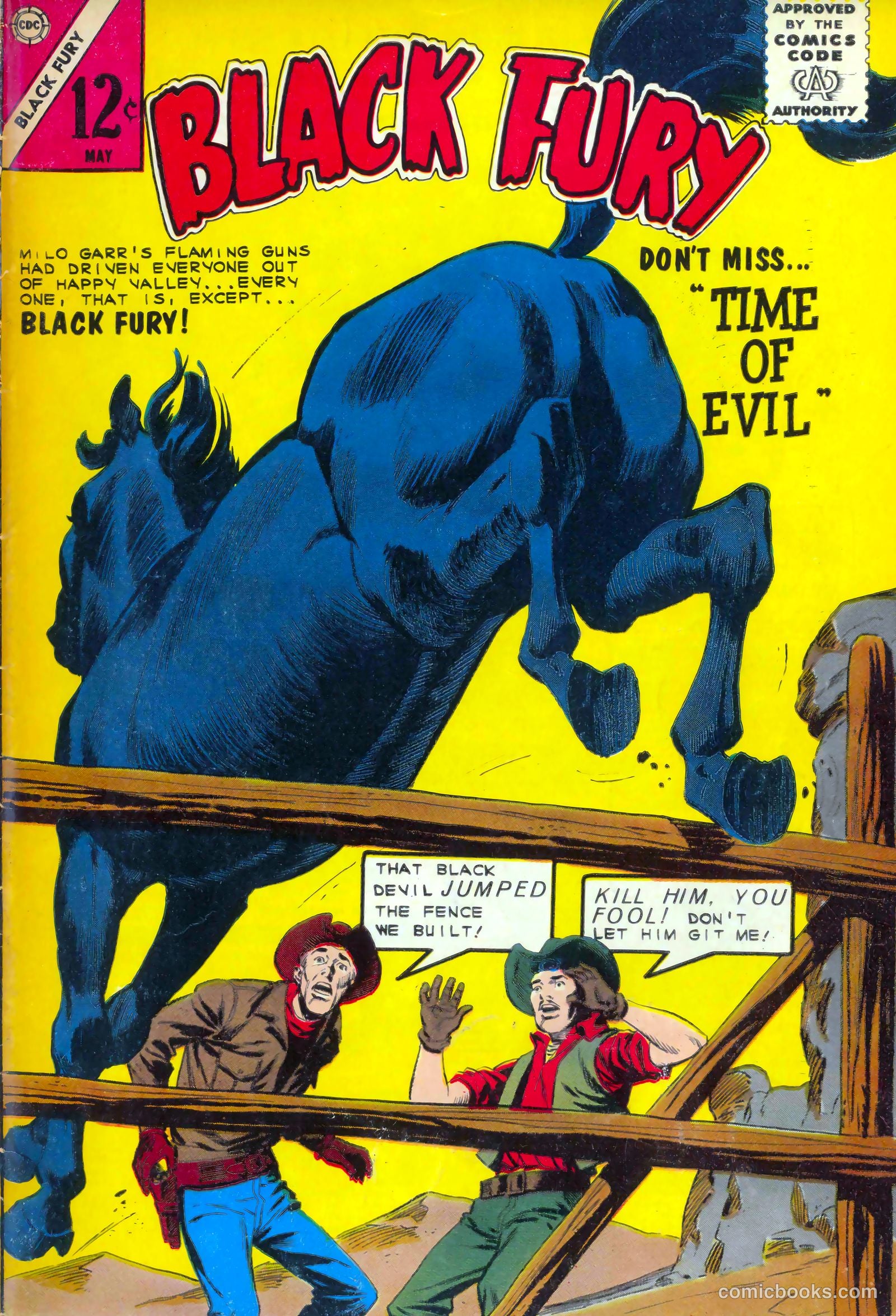 Black Fury #47