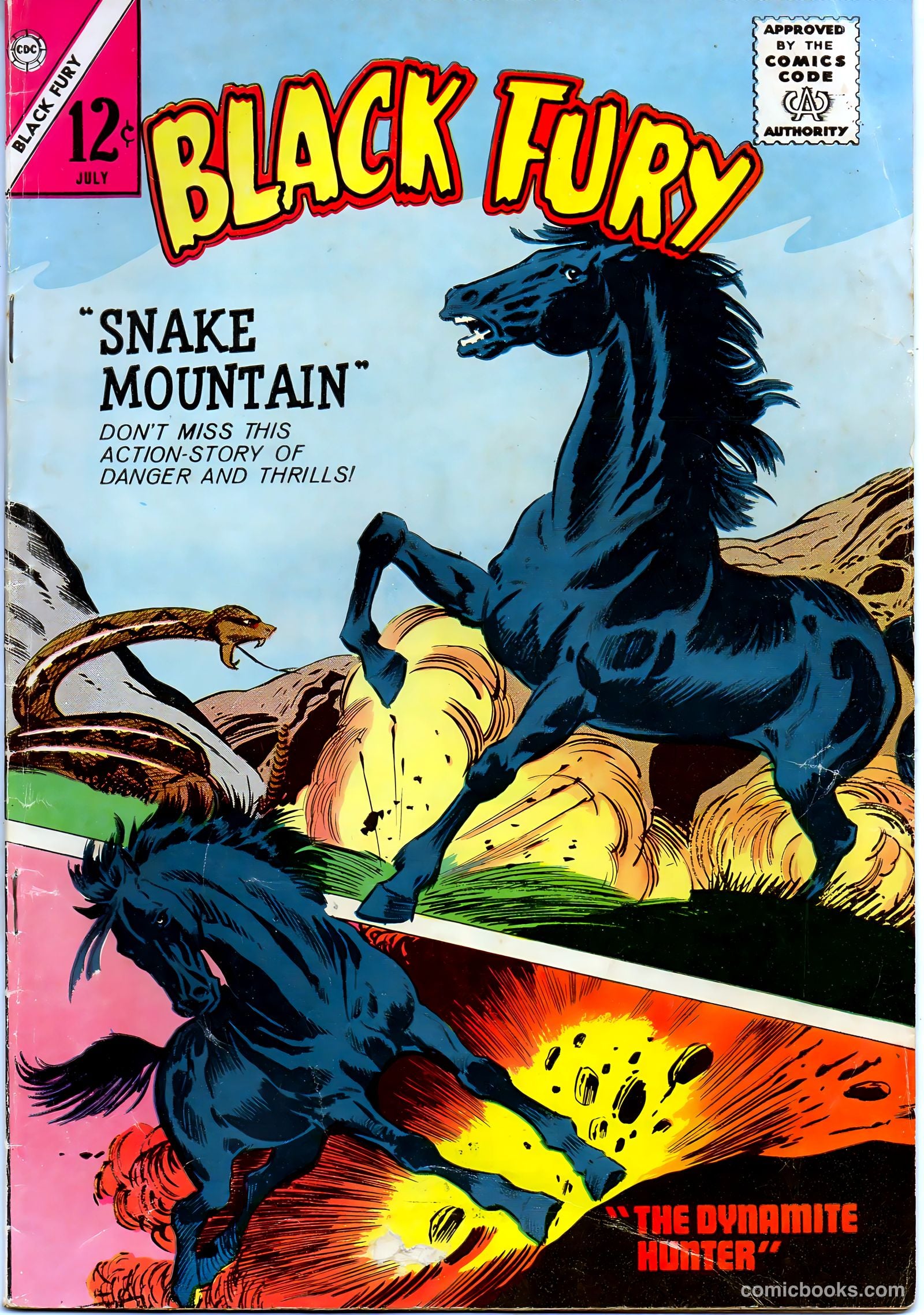Black Fury #48