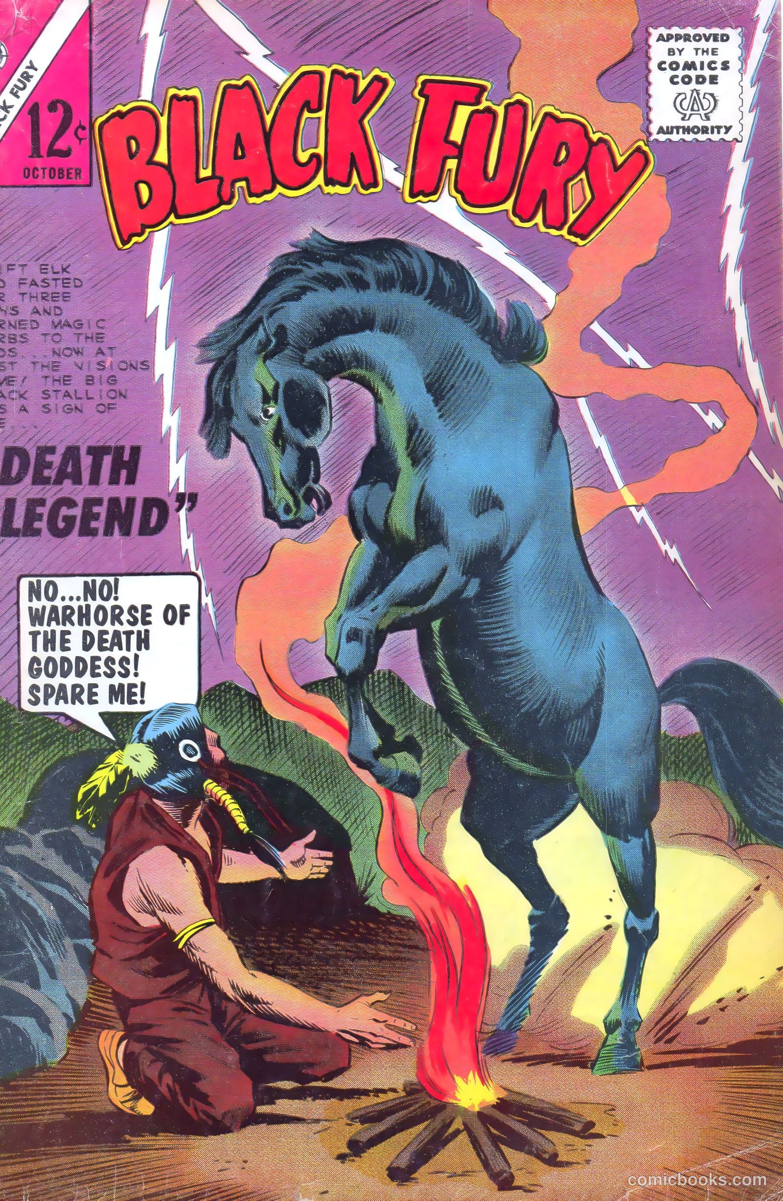 Black Fury #49