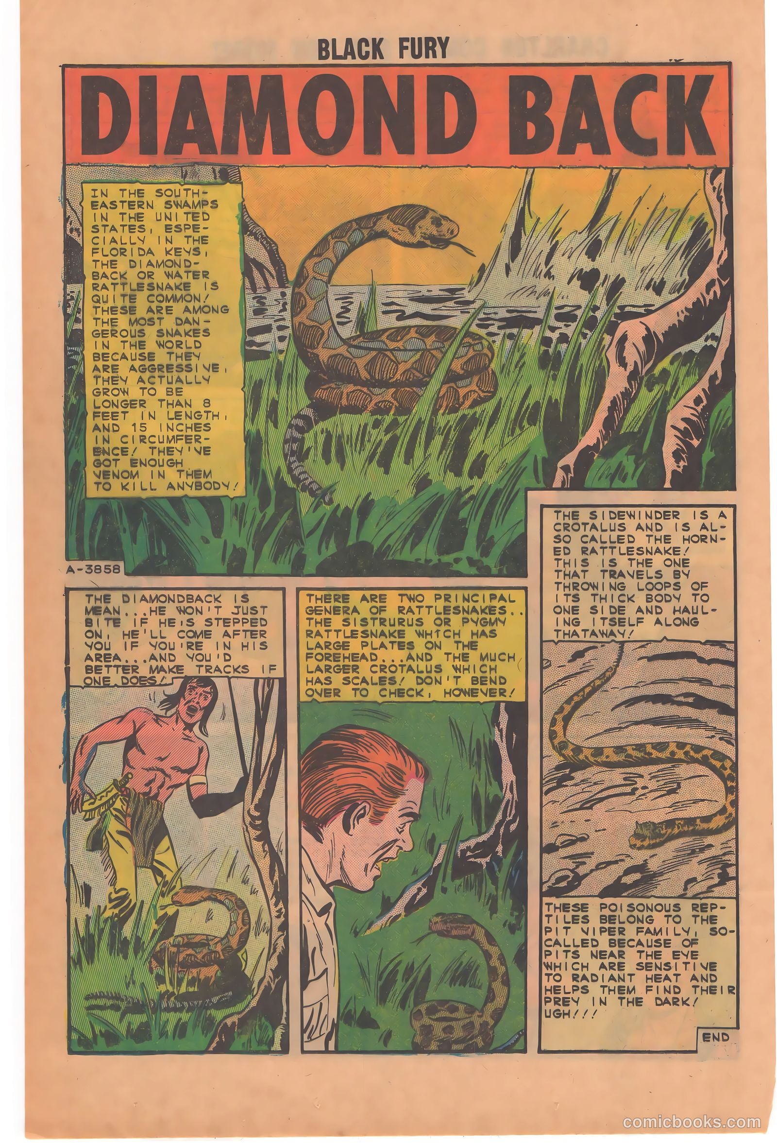 Black Fury #49 (1964) — page 12 of 36