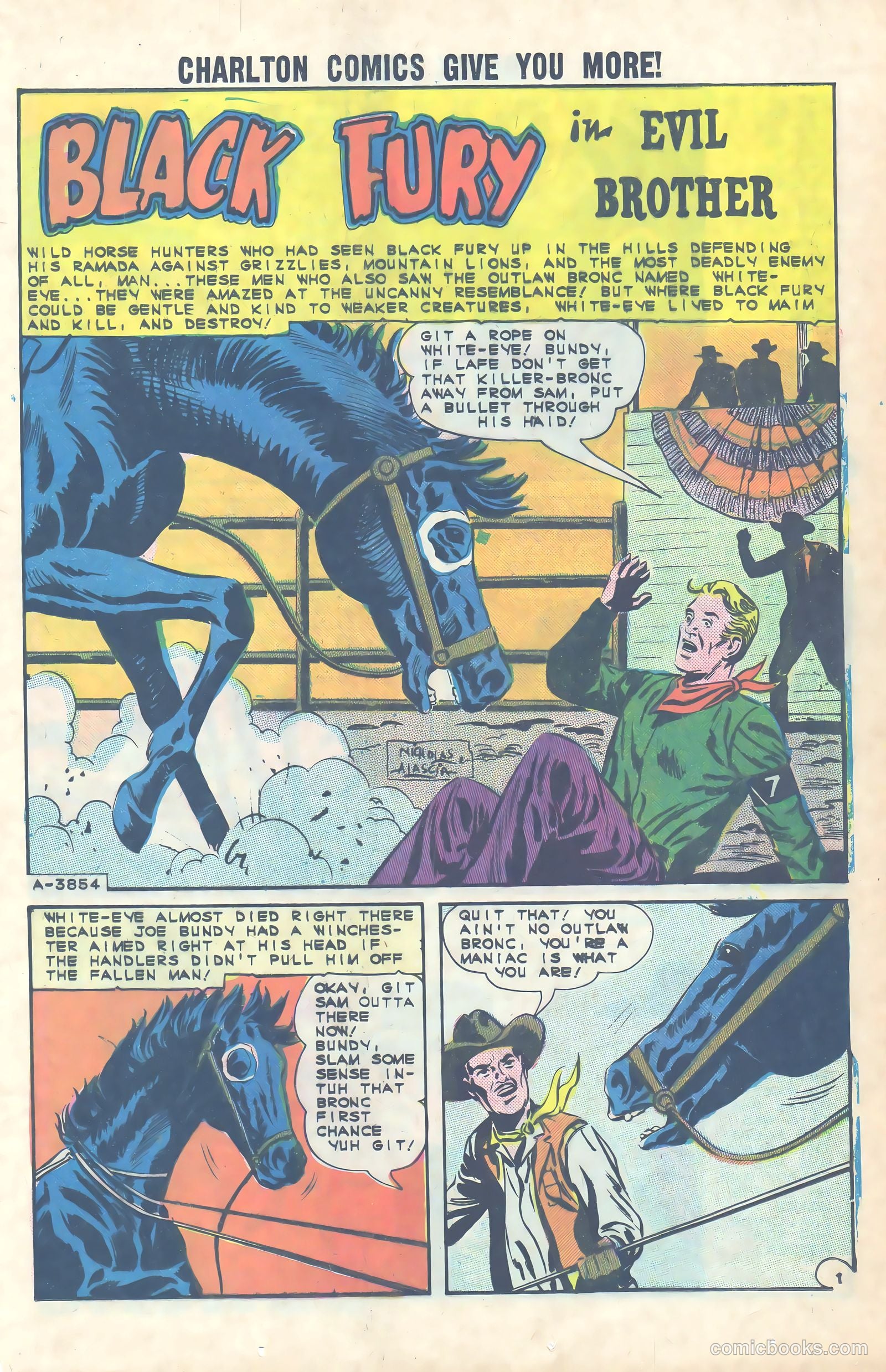 Black Fury #49 (1964) — page 13 of 36