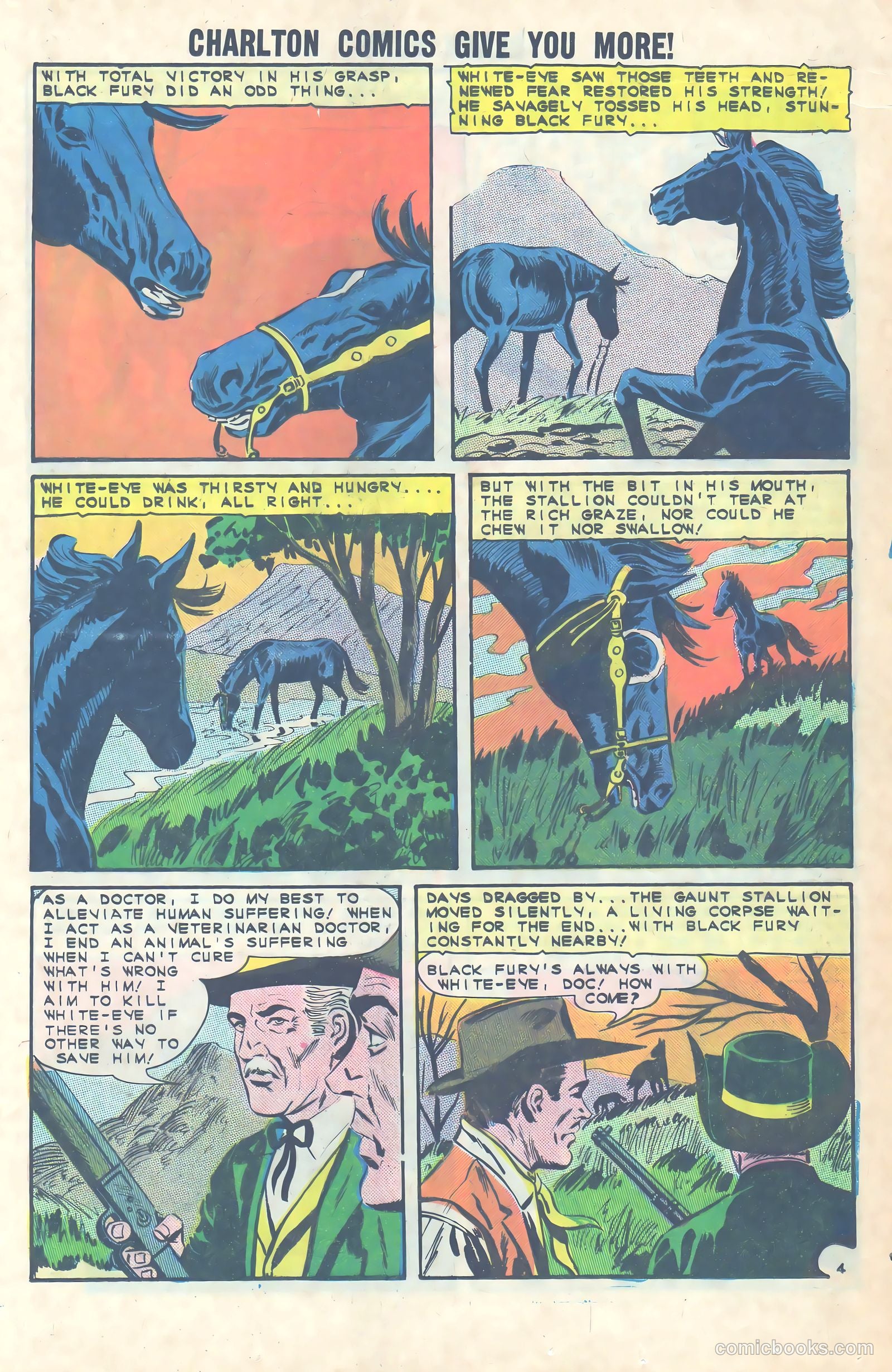 Black Fury #49 (1964) — page 17 of 36