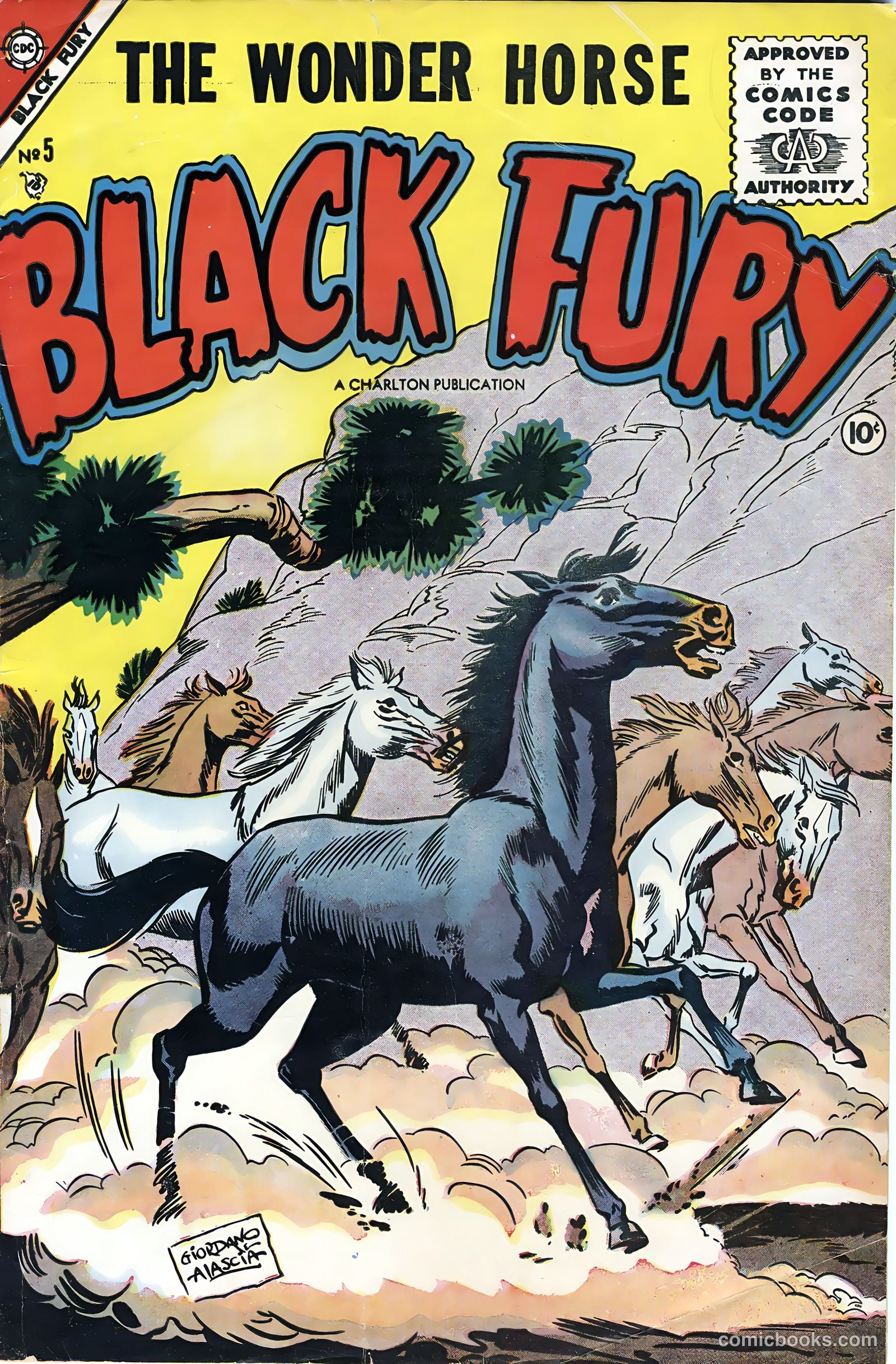 Black Fury #5