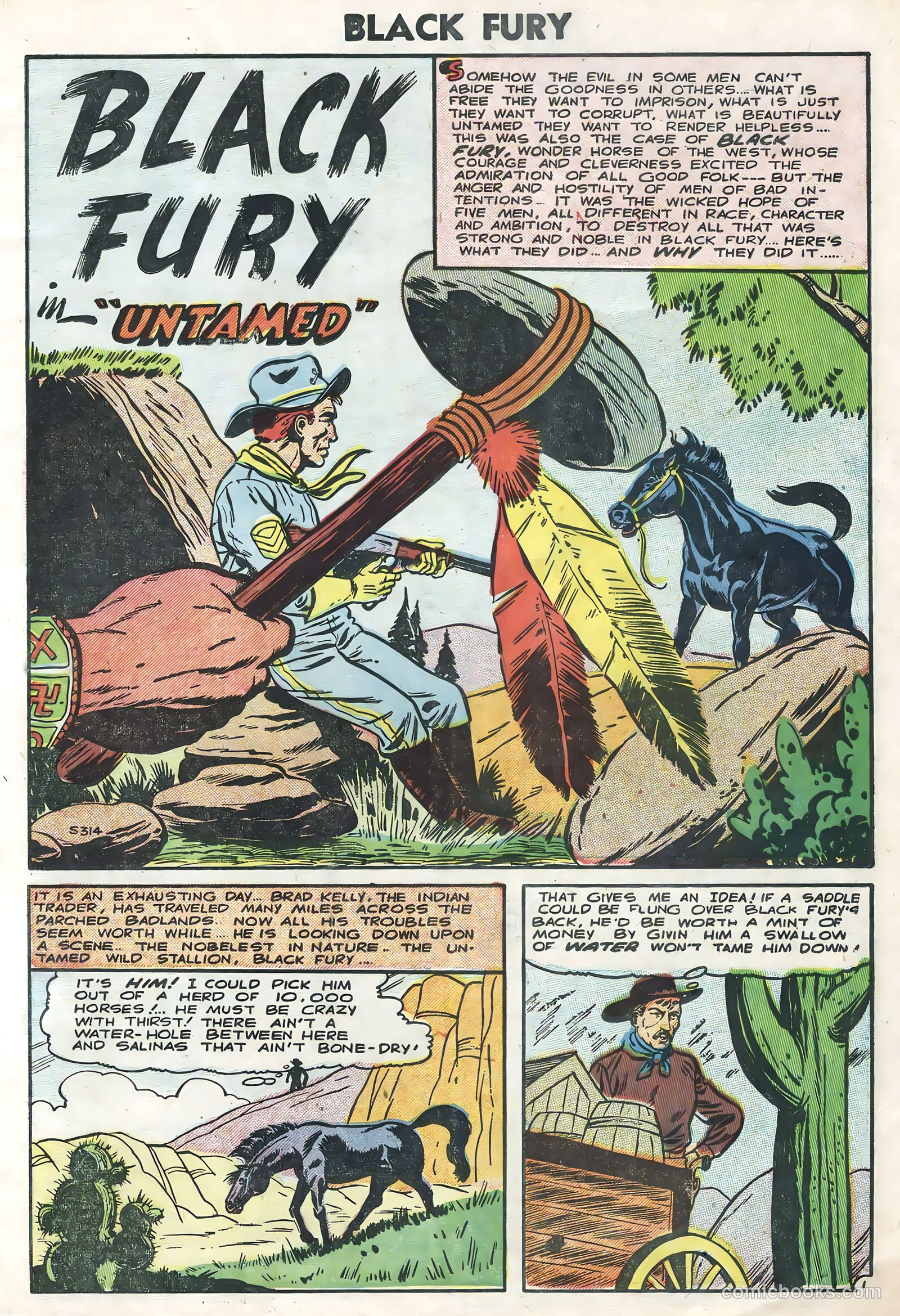 Black Fury #5 (1956) — page 3 of 36