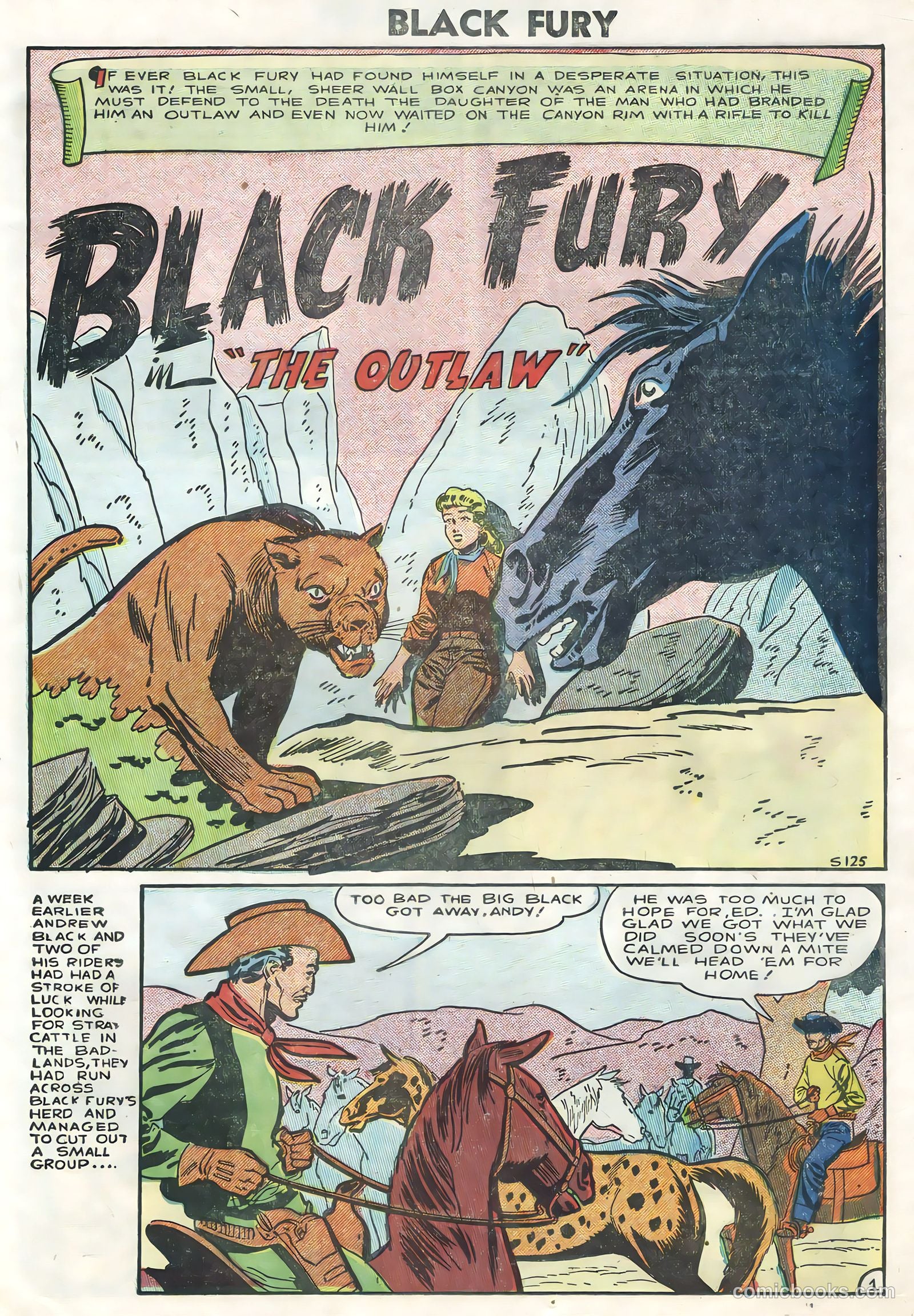 Black Fury #5 (1956) — page 23 of 36
