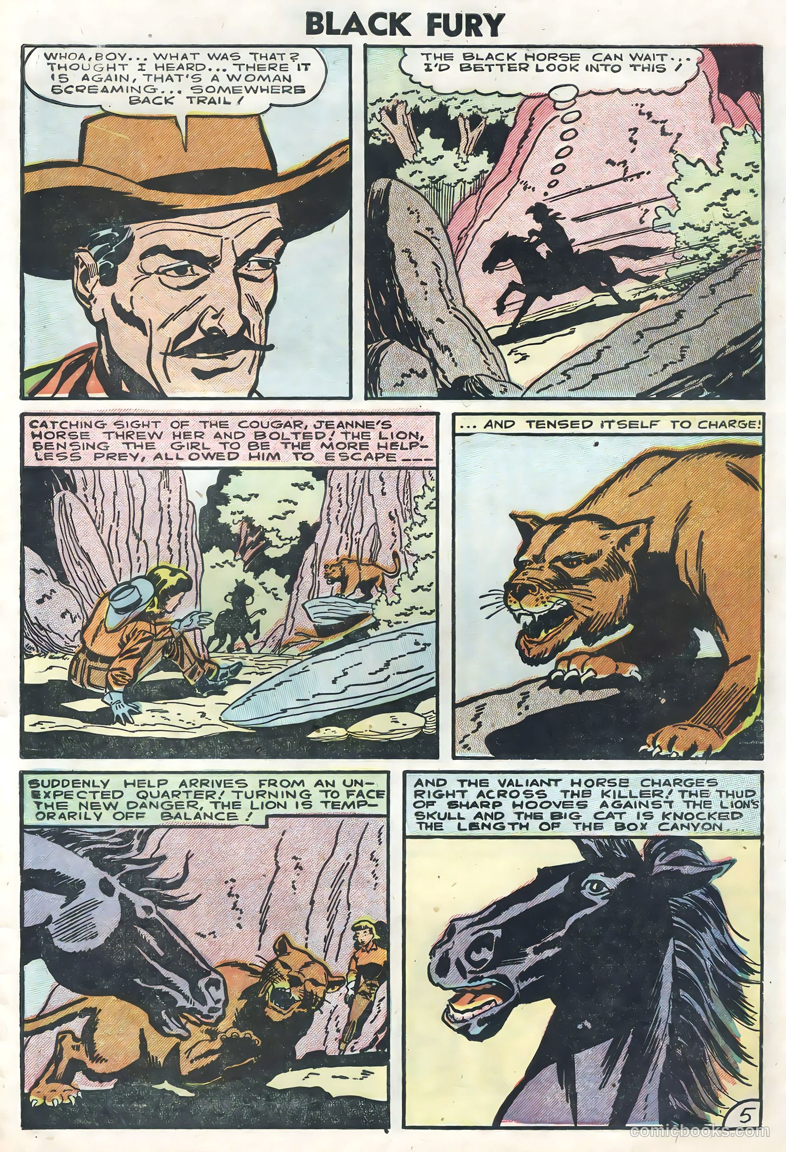Black Fury #5 (1956) — page 27 of 36