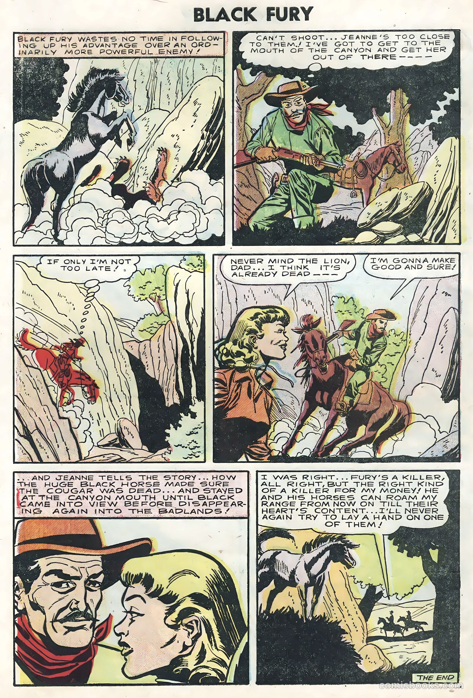 Black Fury #5 (1956) — page 28 of 36