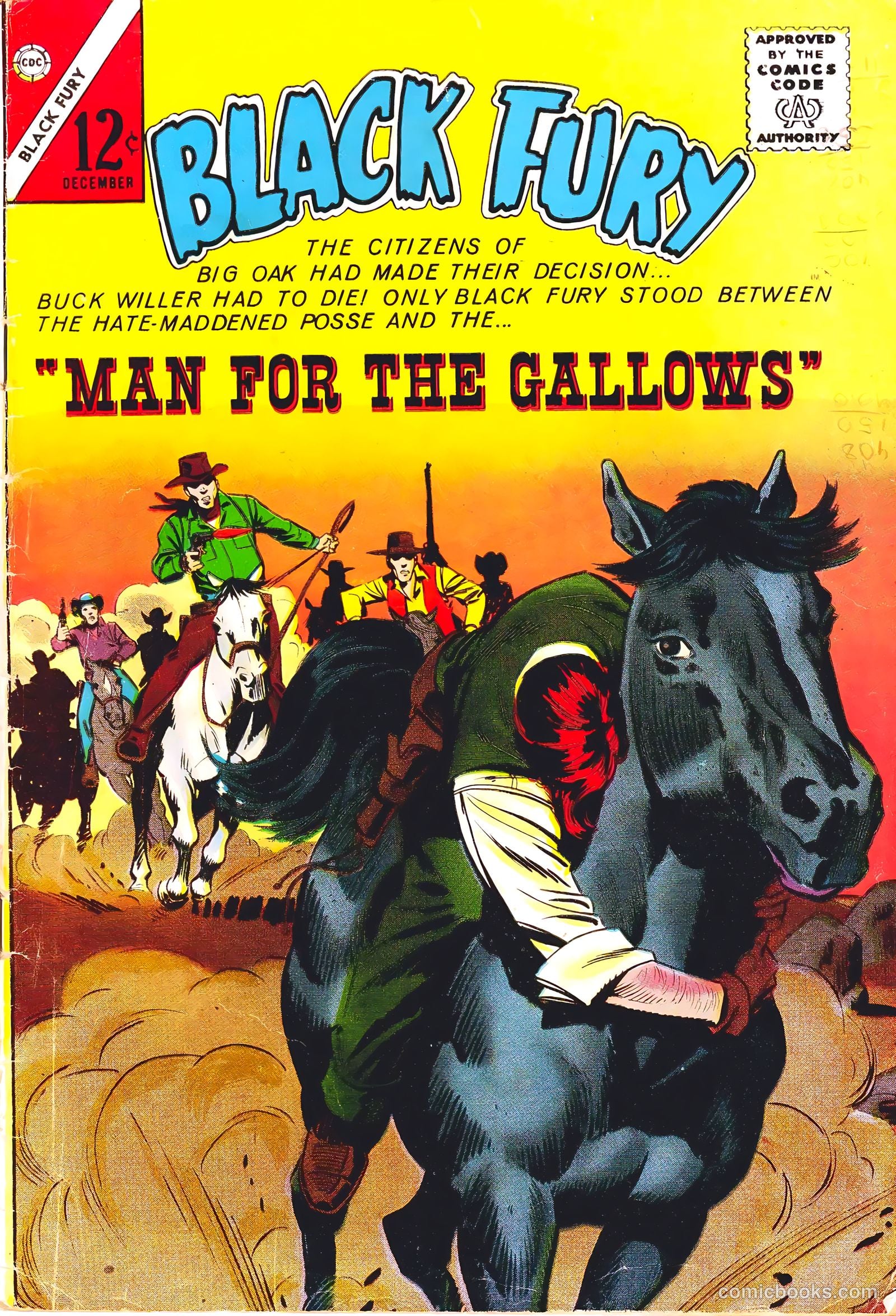 Black Fury #50