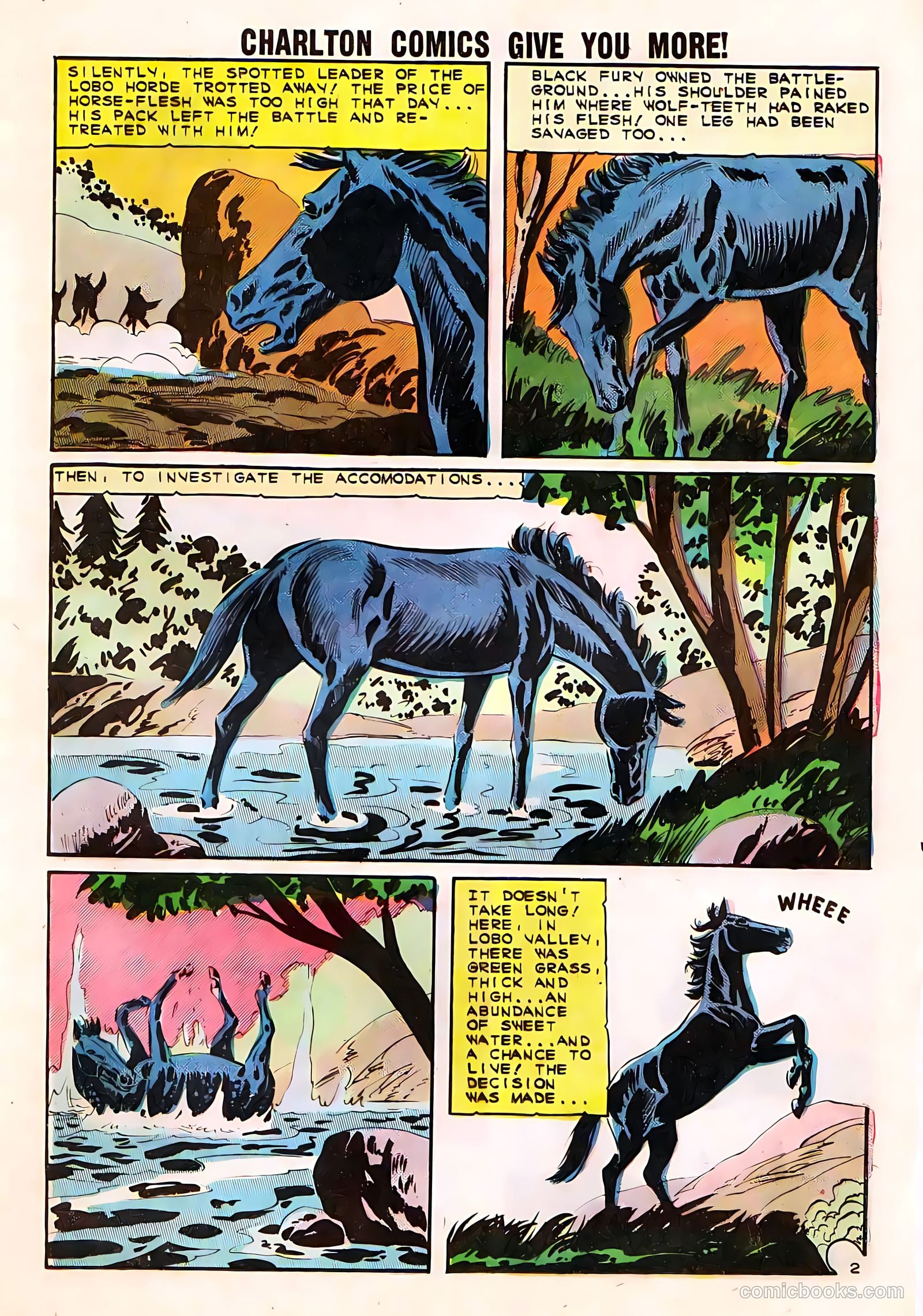 Black Fury #50 (1961) — page 13 of 36