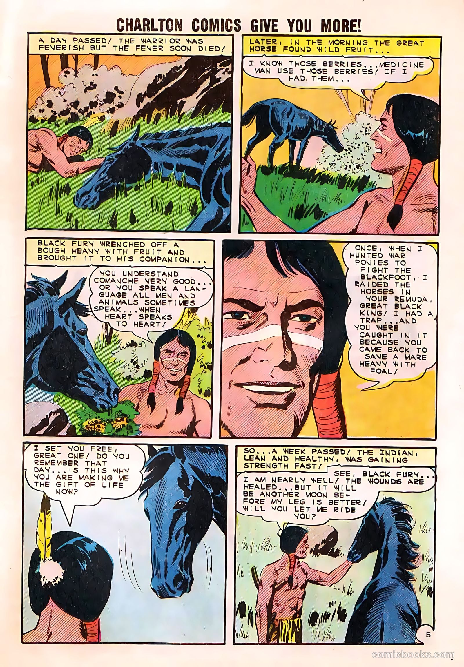 Black Fury #50 (1961) — page 29 of 36