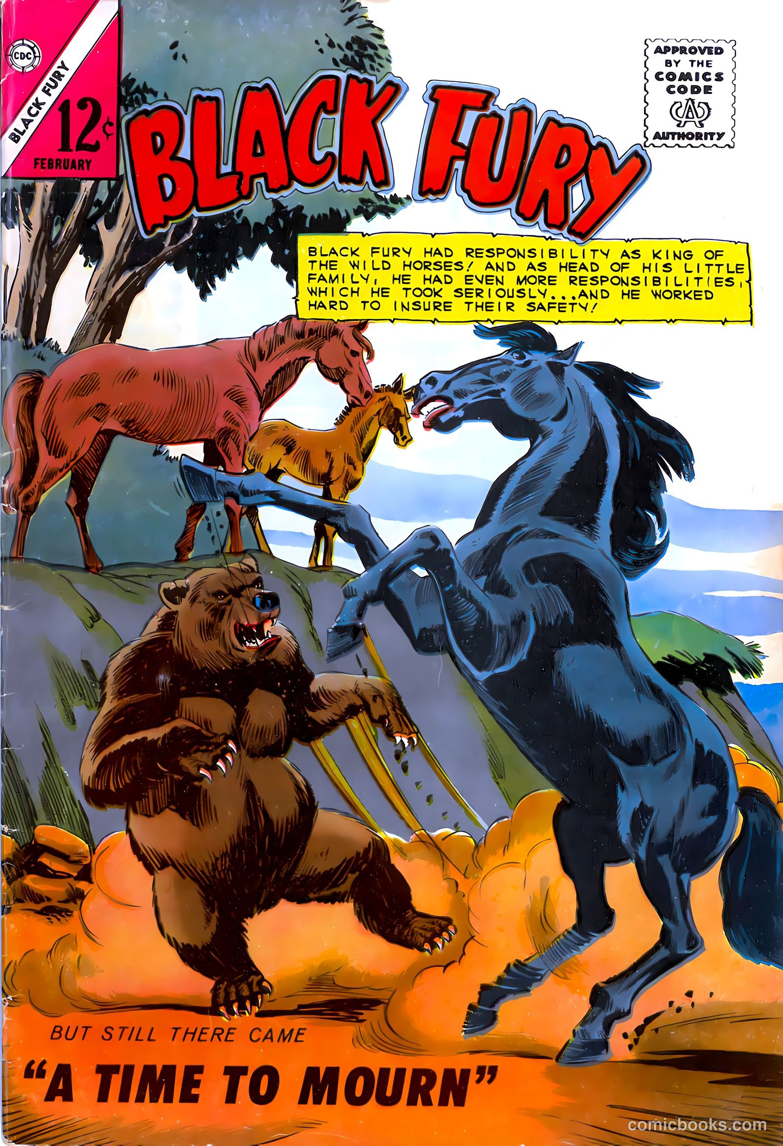 Black Fury #51