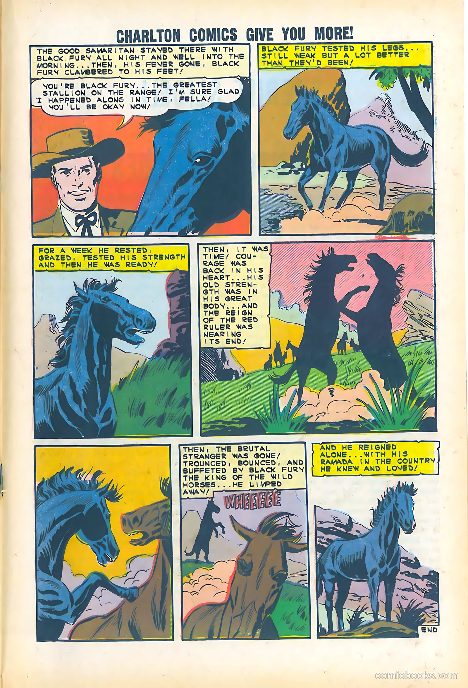 Black Fury #51 (1965) — page 19 of 36