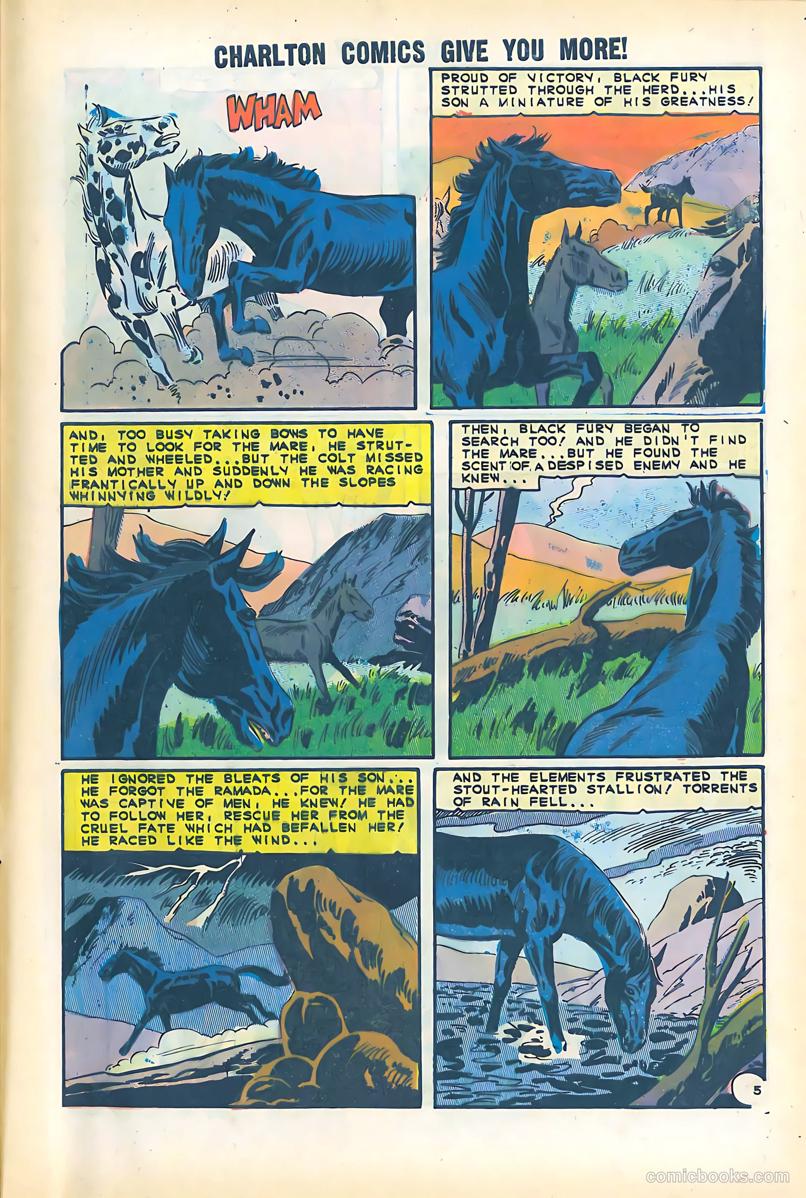 Black Fury #51 (1965) — page 29 of 36