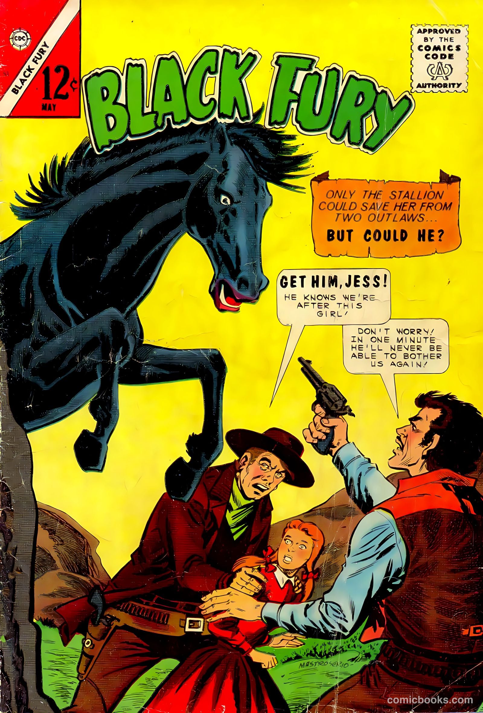 Black Fury #52