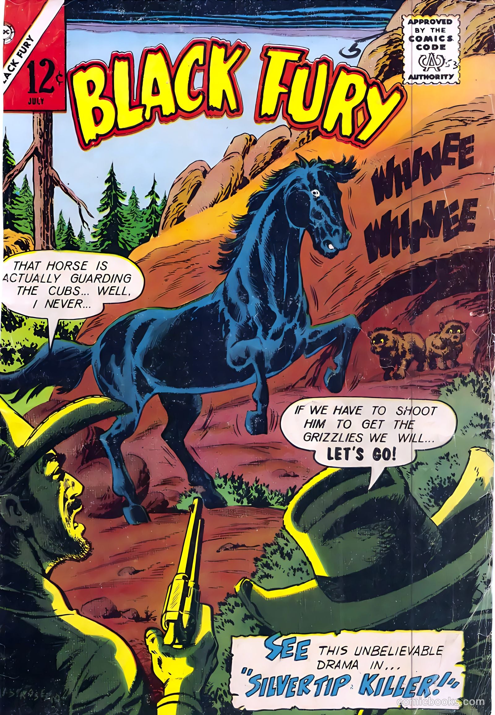 Black Fury #53