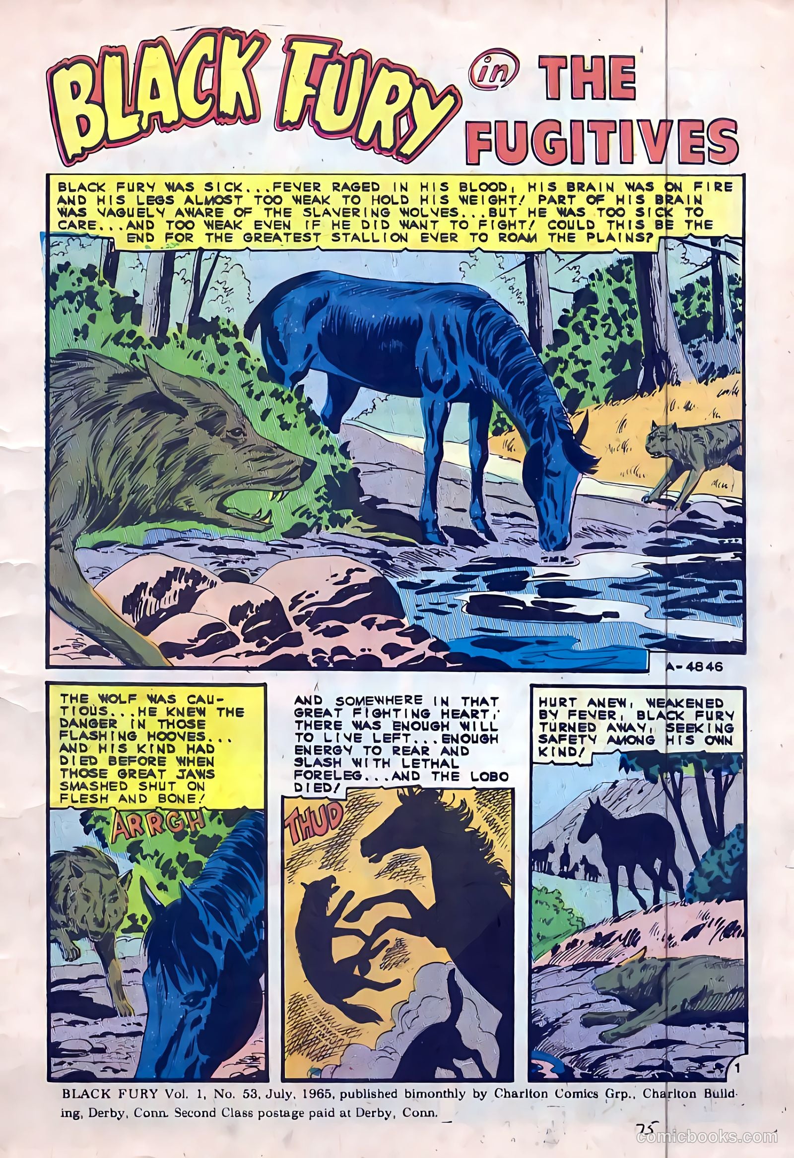 Black Fury #53 (1965) — page 3 of 36