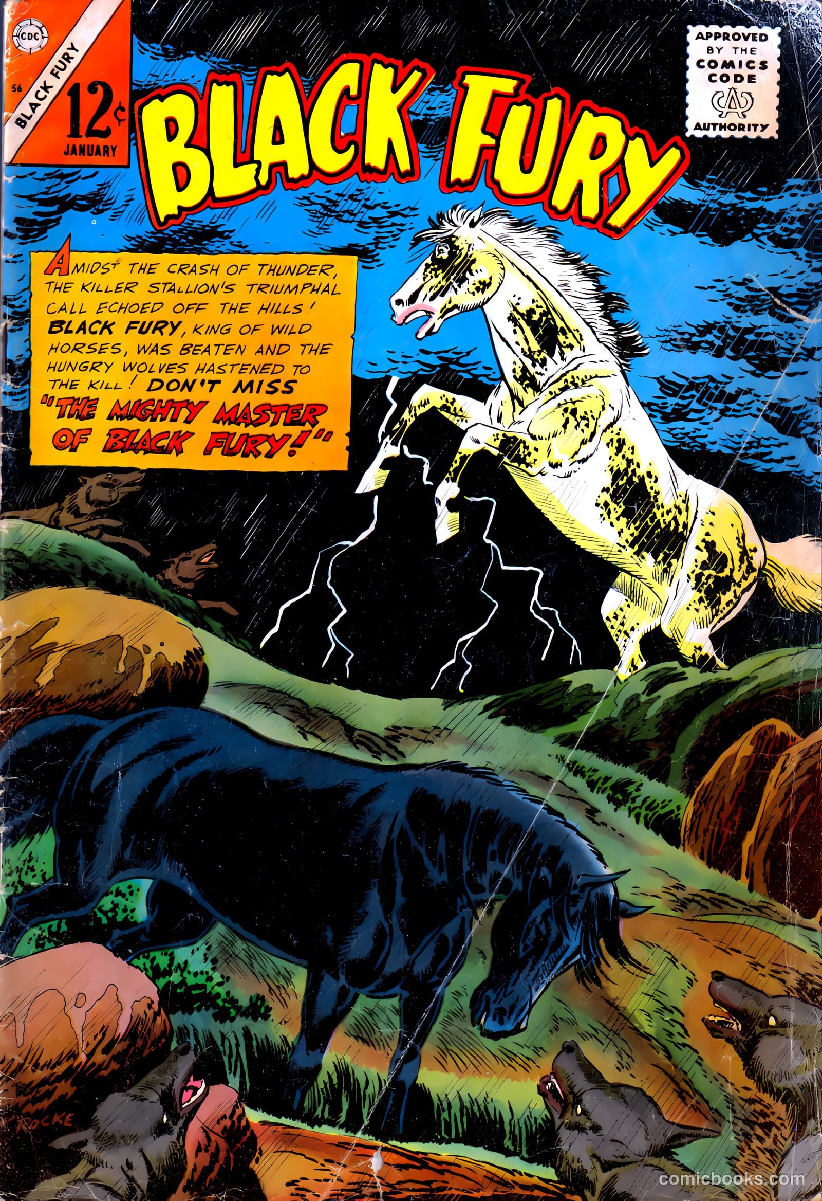 Black Fury #56
