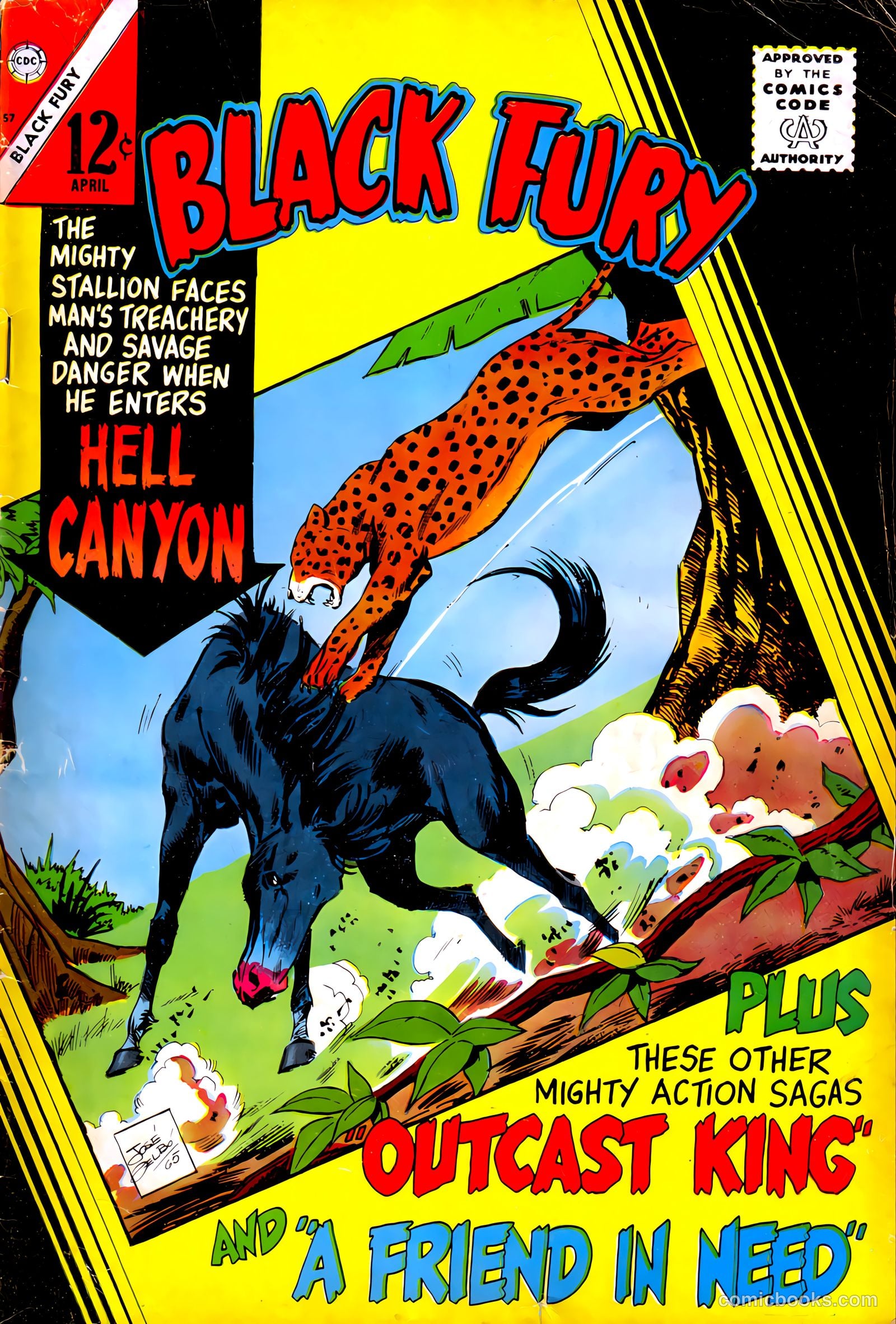 Black Fury #57