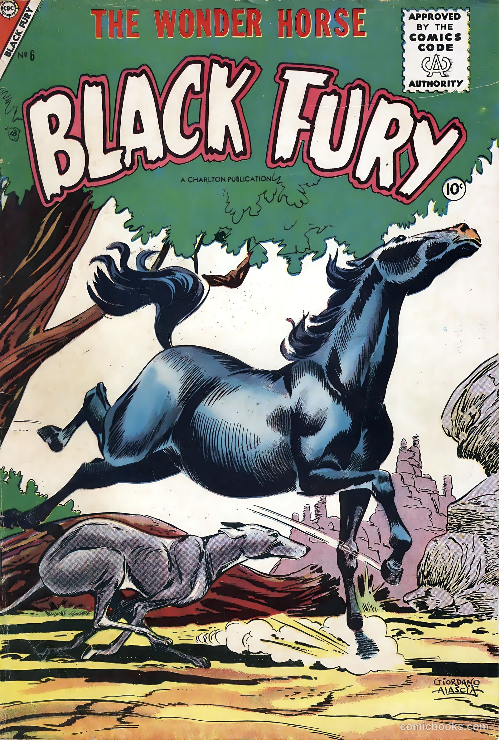 Black Fury #6