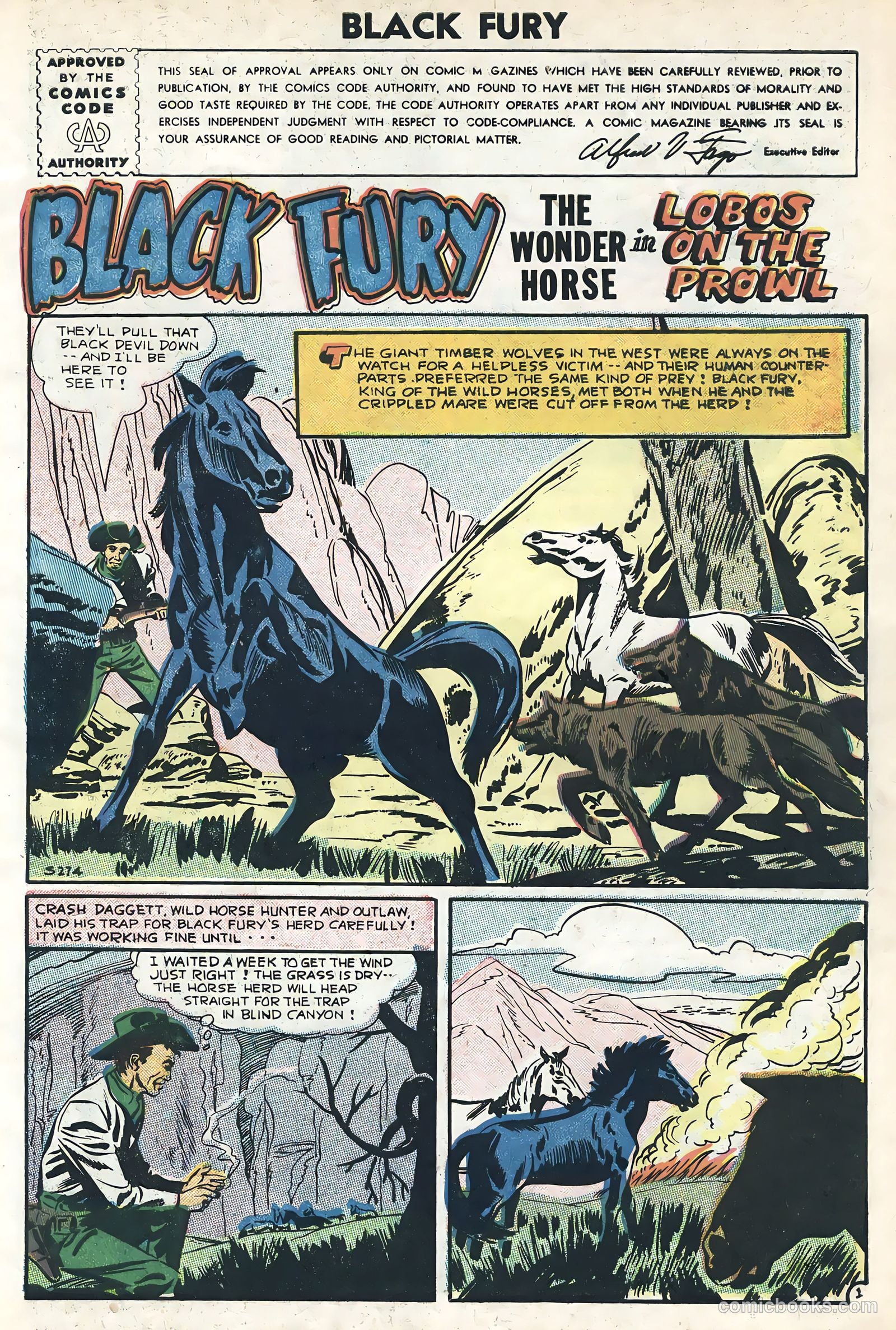 Black Fury #6 (1956) — page 3 of 36
