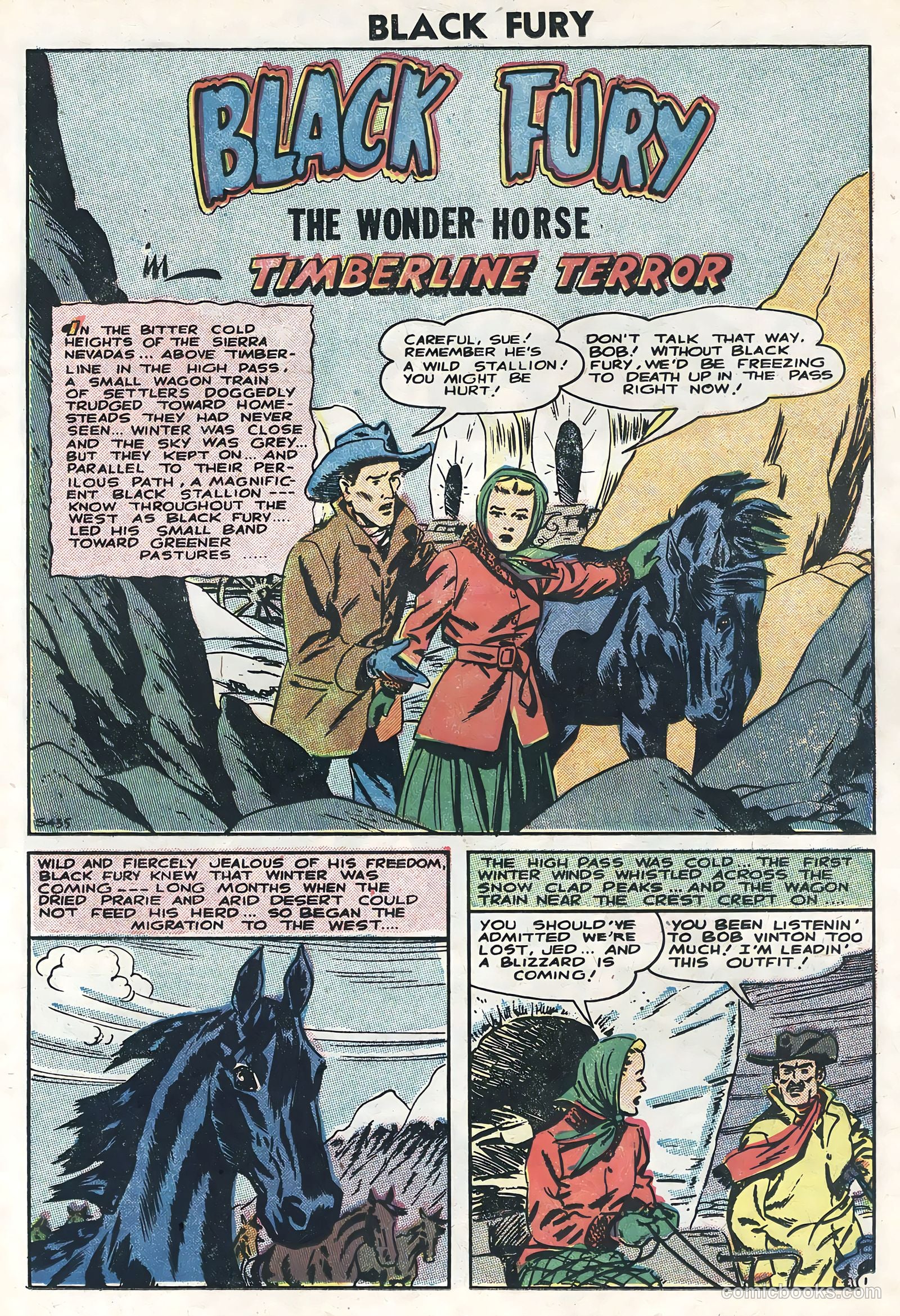 Black Fury #6 (1956) — page 23 of 36