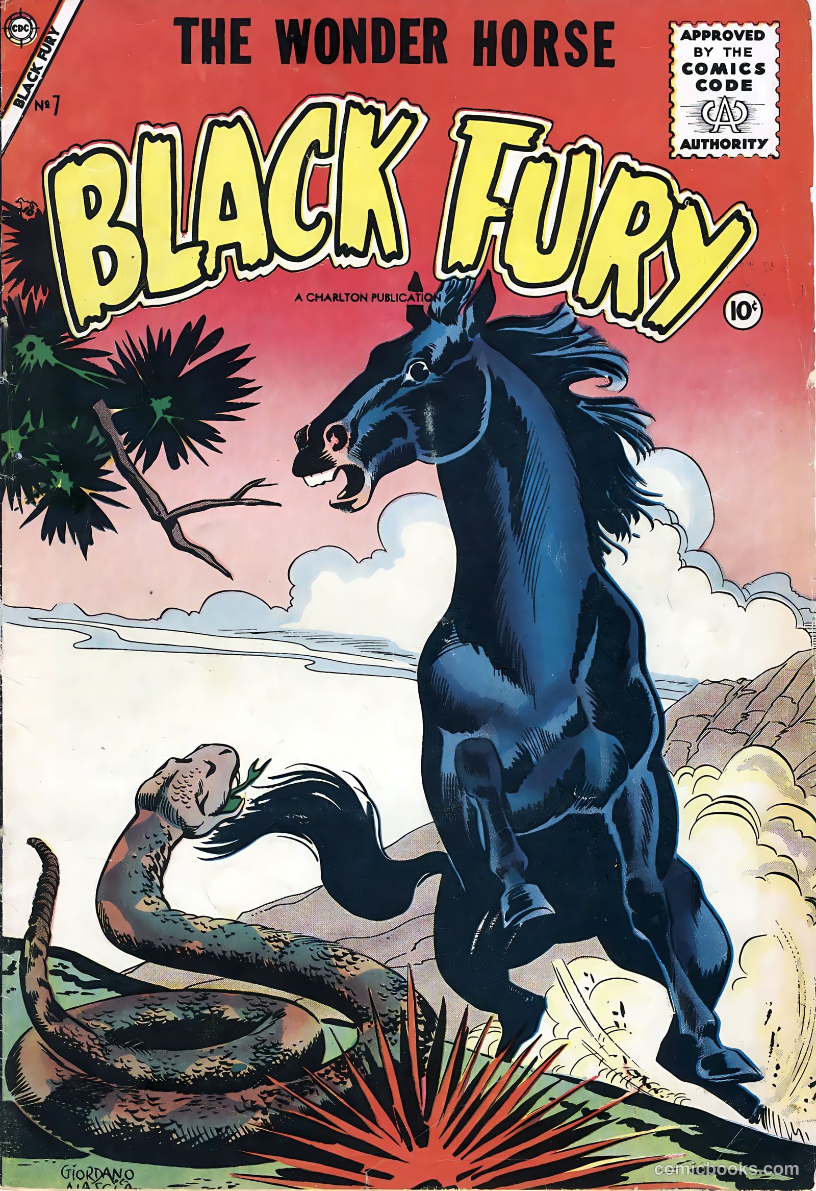 Black Fury #7