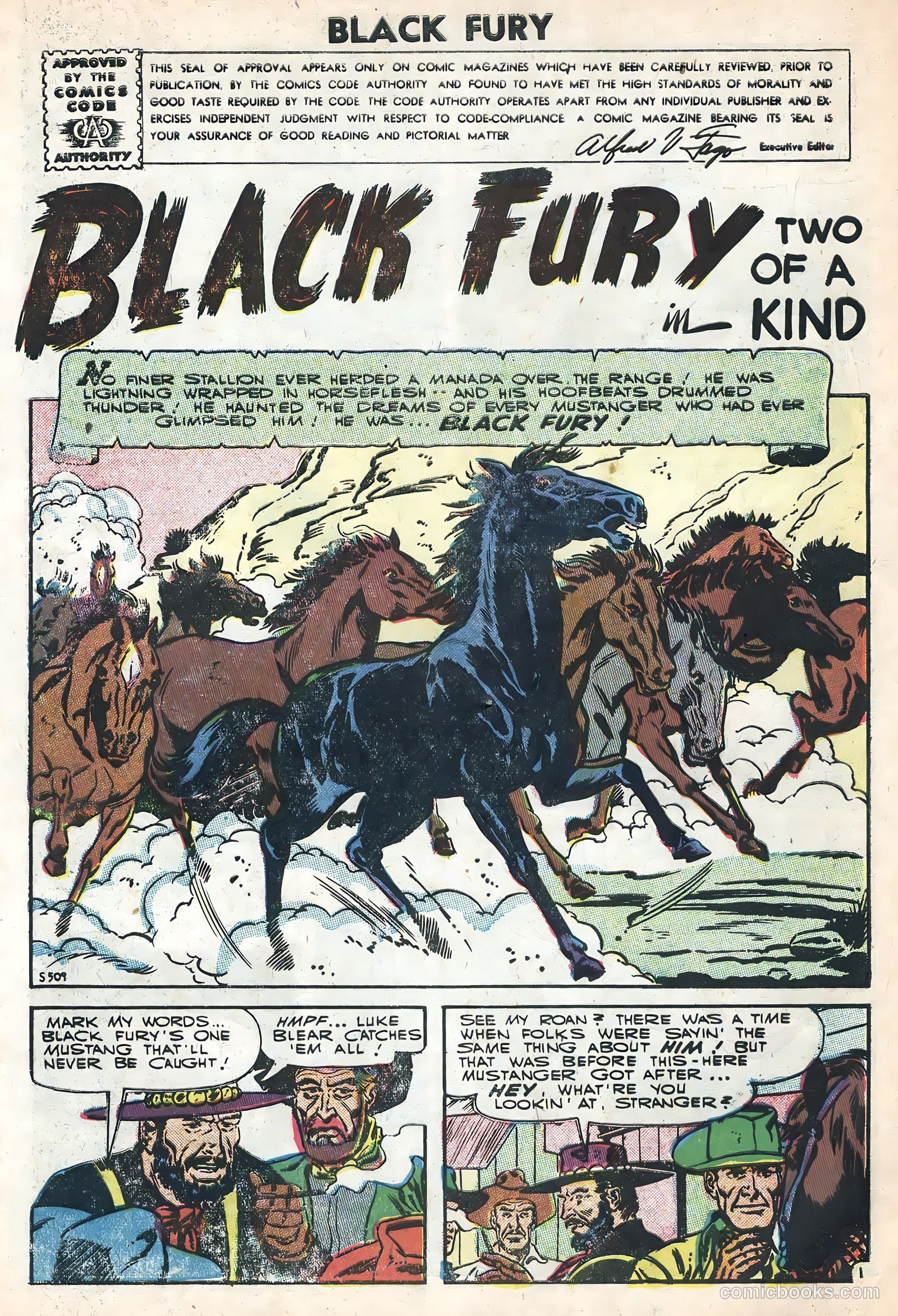 Black Fury #7 (1956) — page 3 of 36