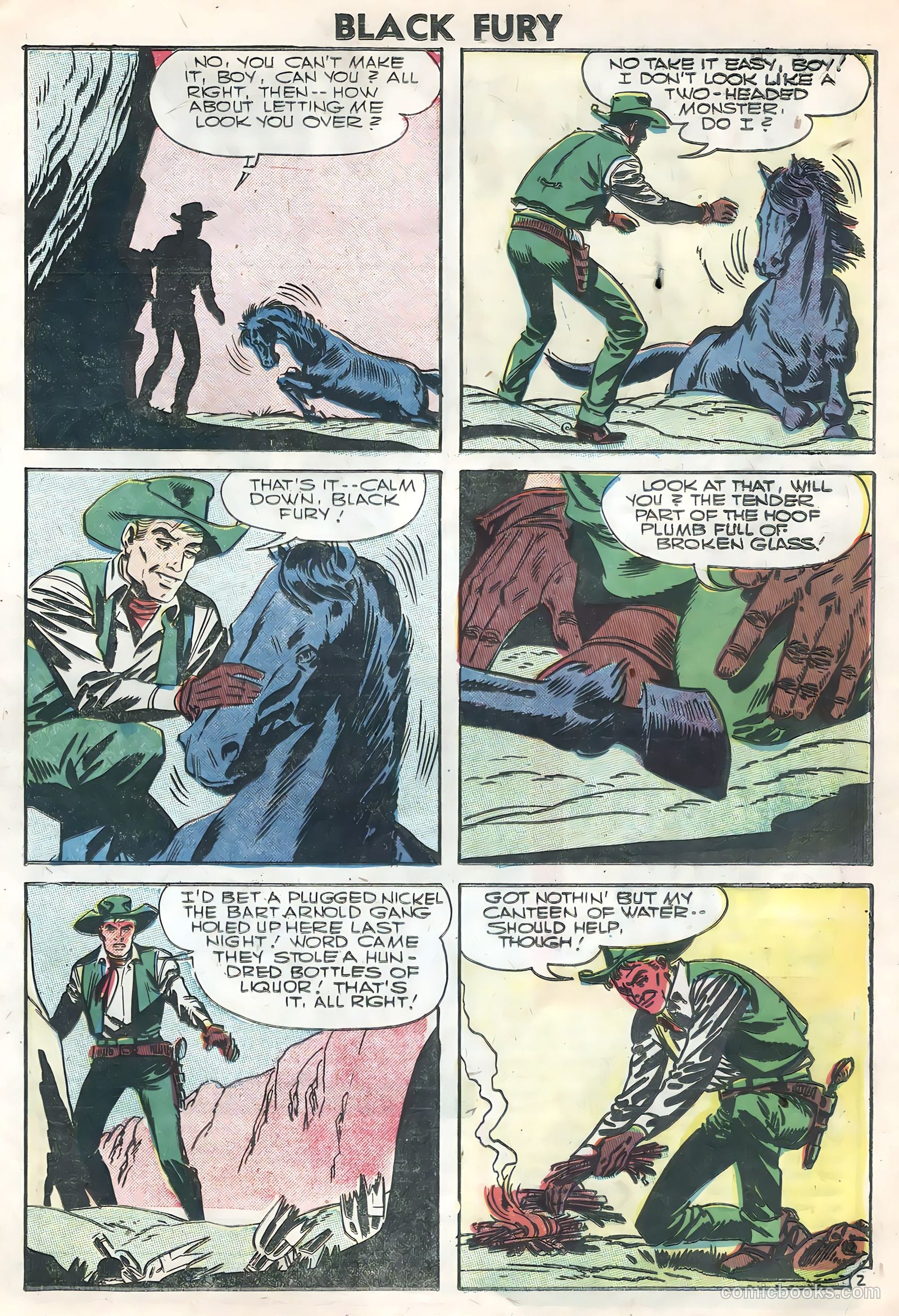 Black Fury #7 (1956) — page 21 of 36