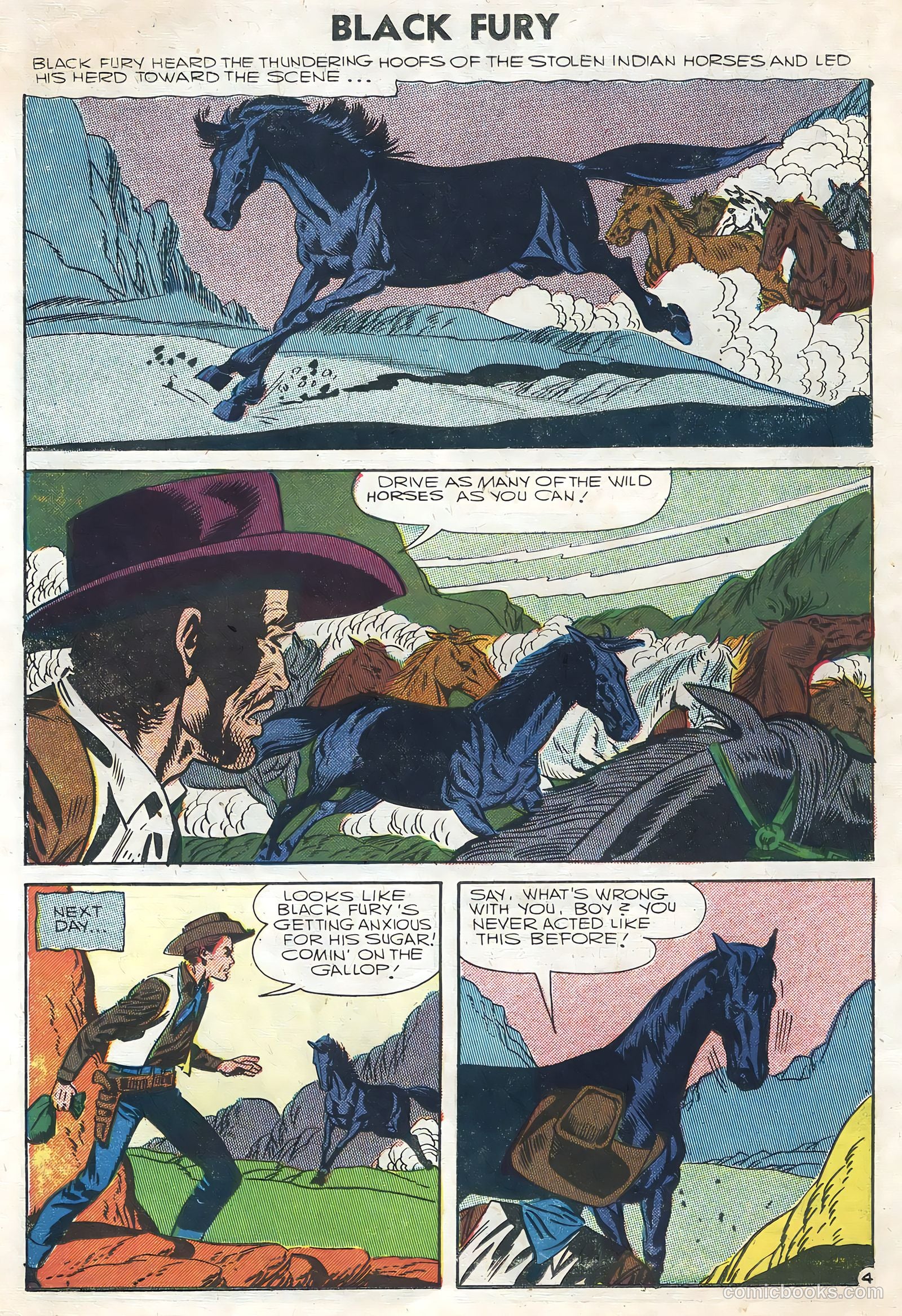 Black Fury #8 (1957) — page 14 of 36