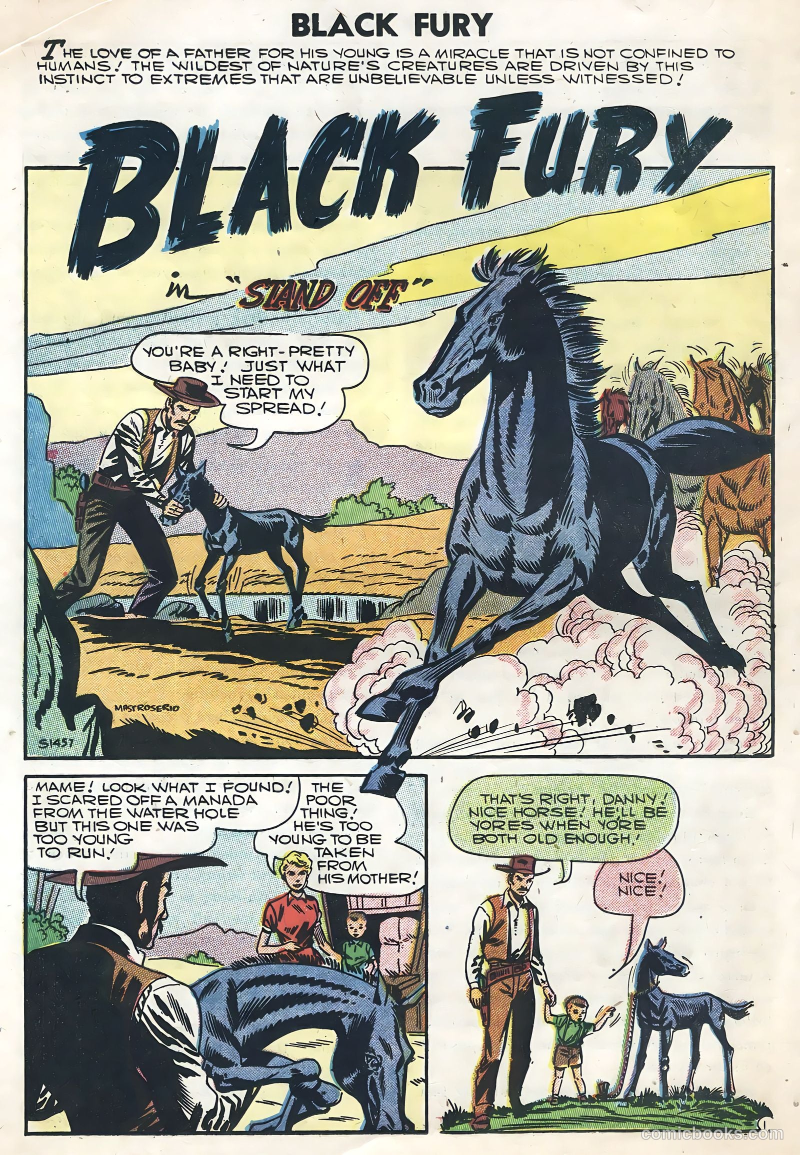 Black Fury #8 (1957) — page 20 of 36