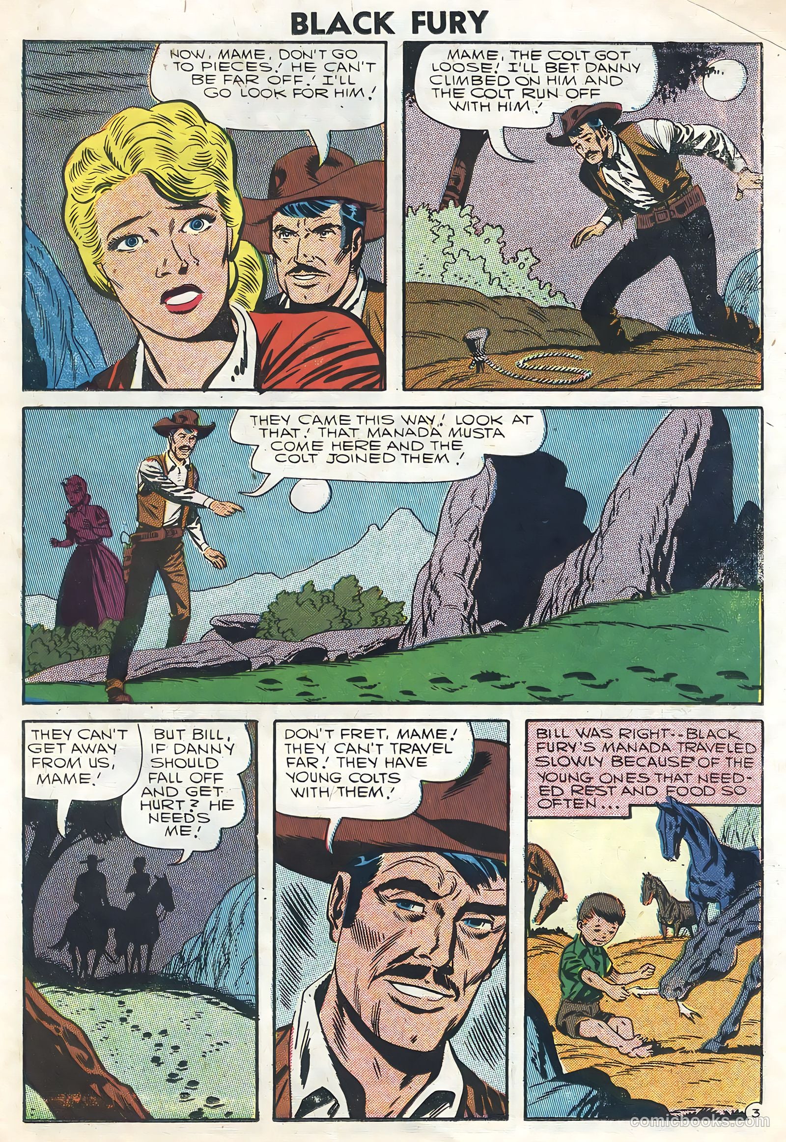 Black Fury #8 (1957) — page 23 of 36