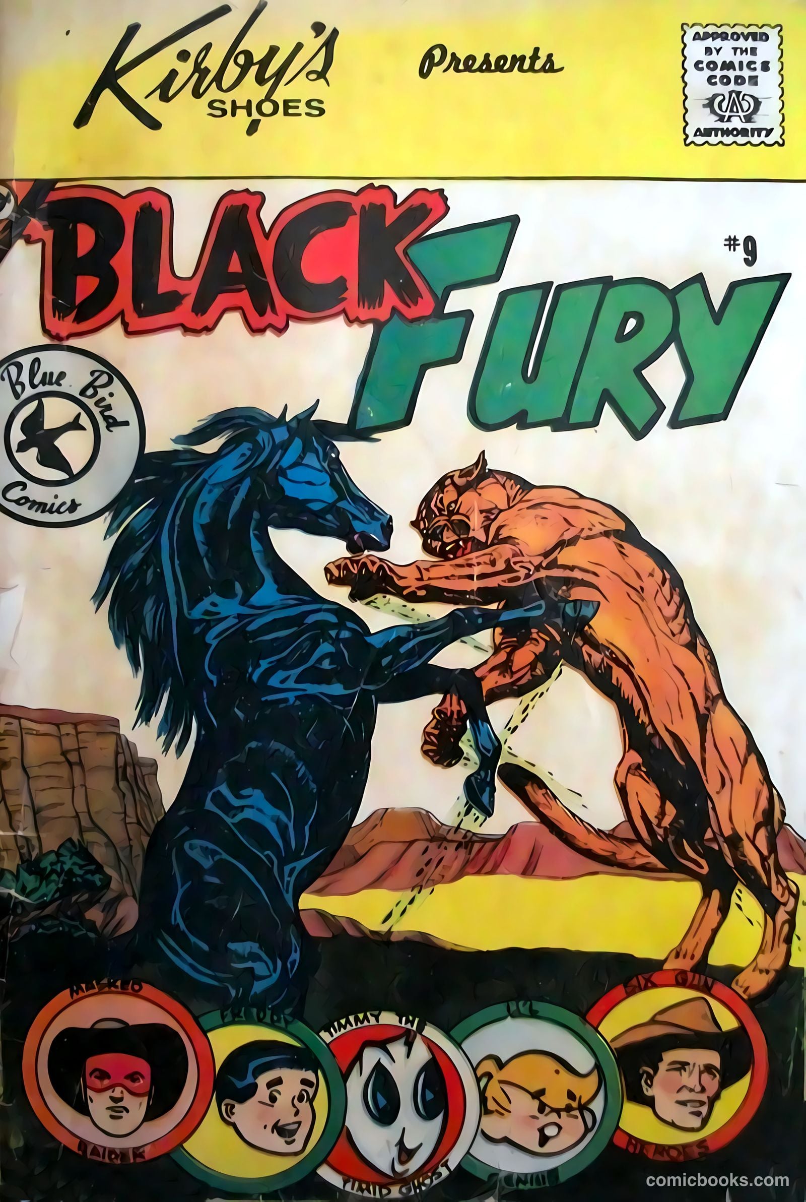Black Fury #9