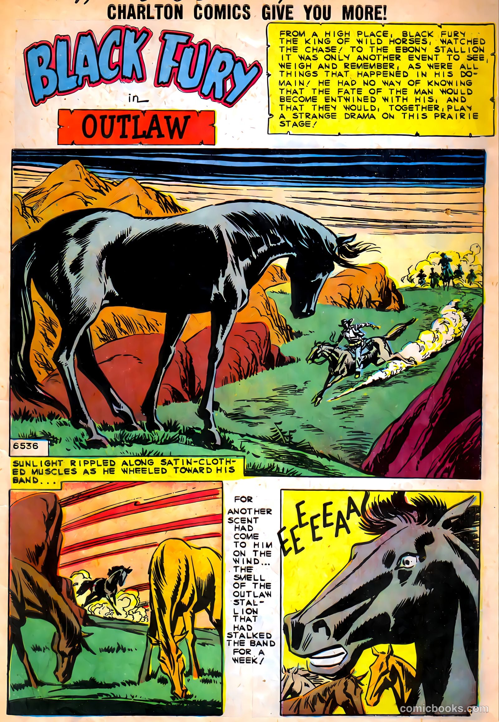 Black Fury #9 (1957) — page 3 of 37