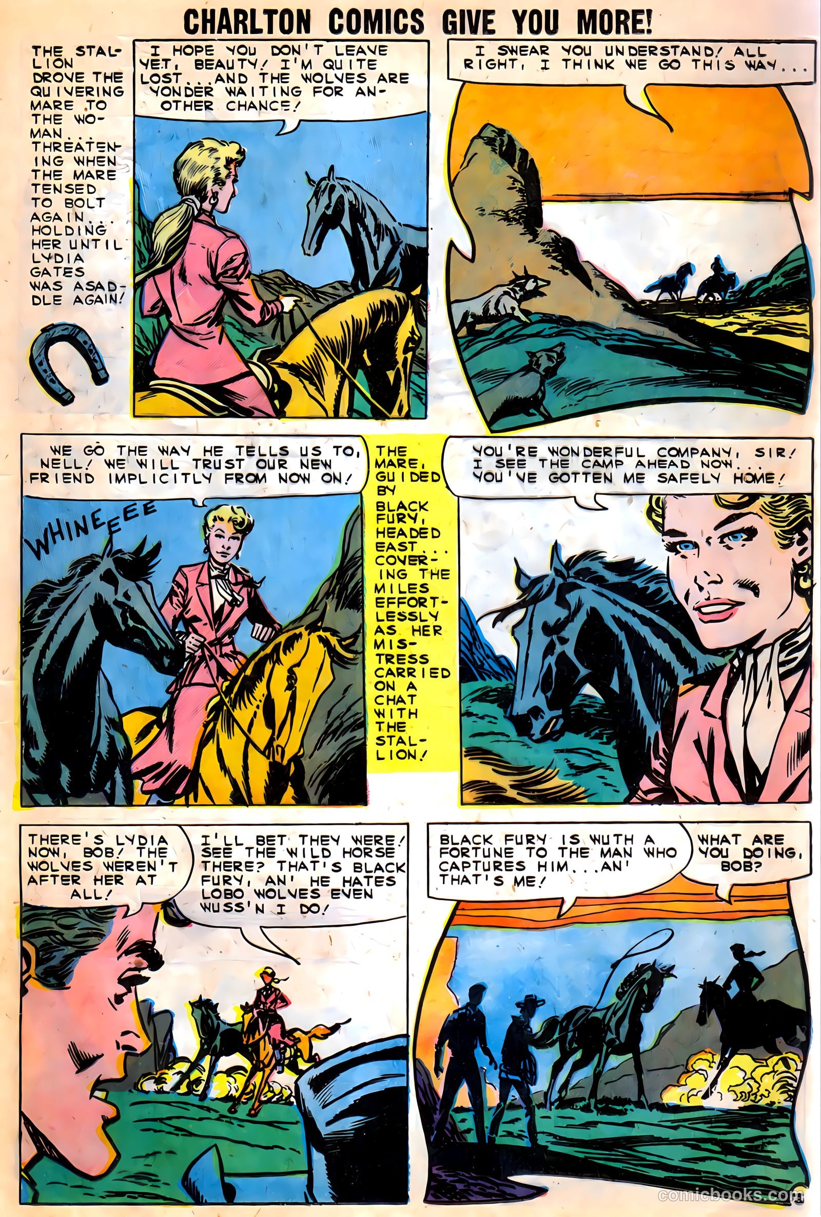Black Fury #9 (1957) — page 17 of 37