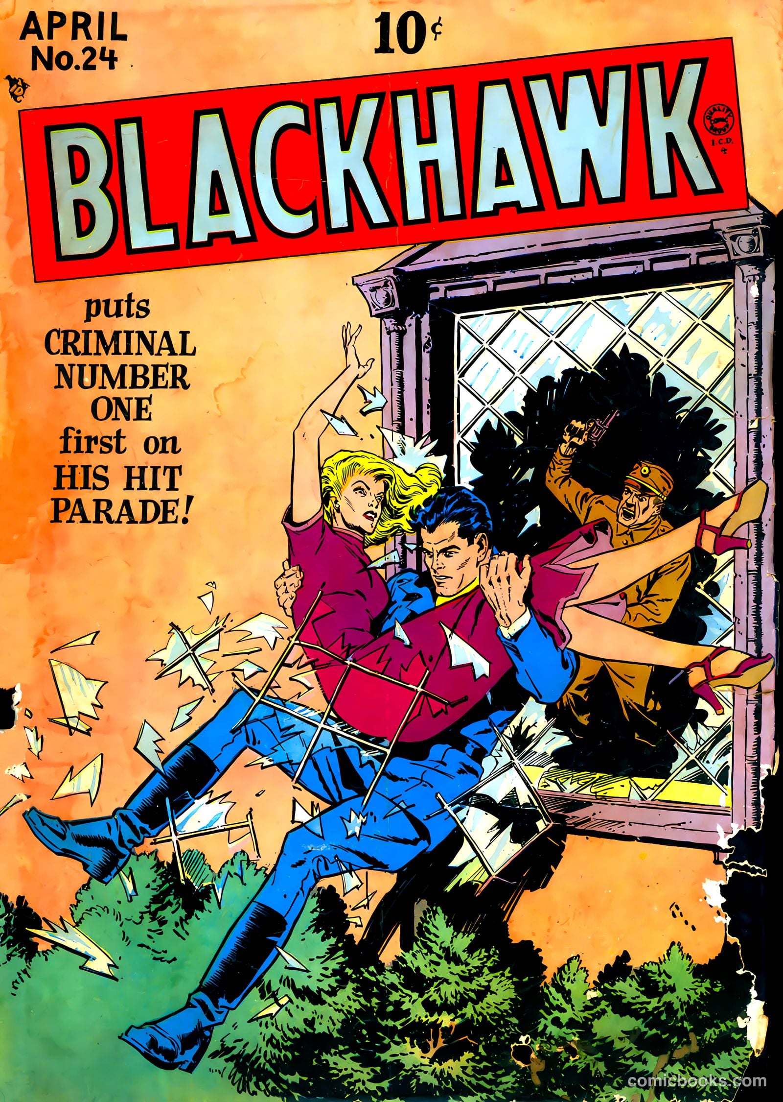 Blackhawk #24