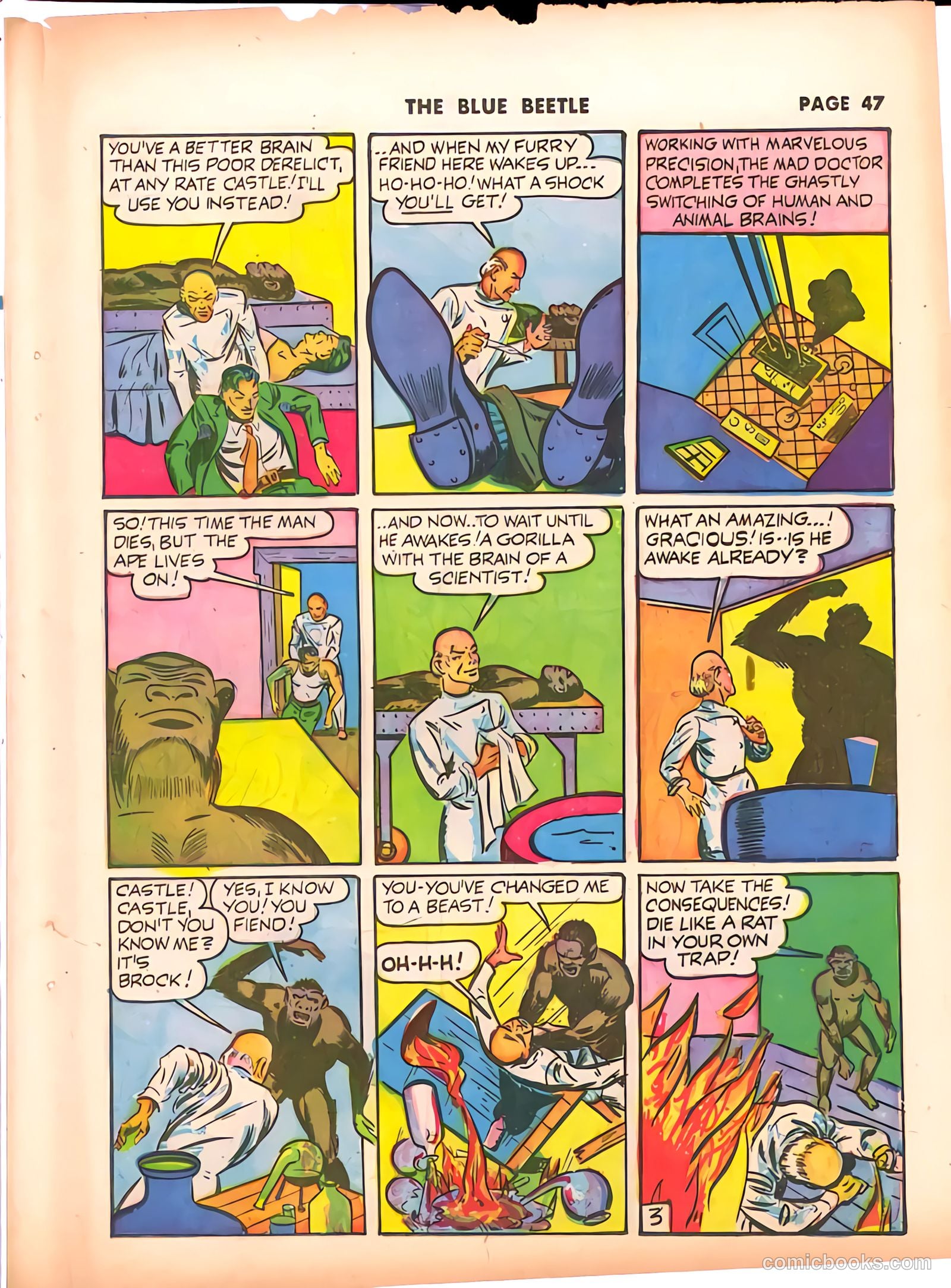 Blue Beetle #9 (1941) — page 48 of 67