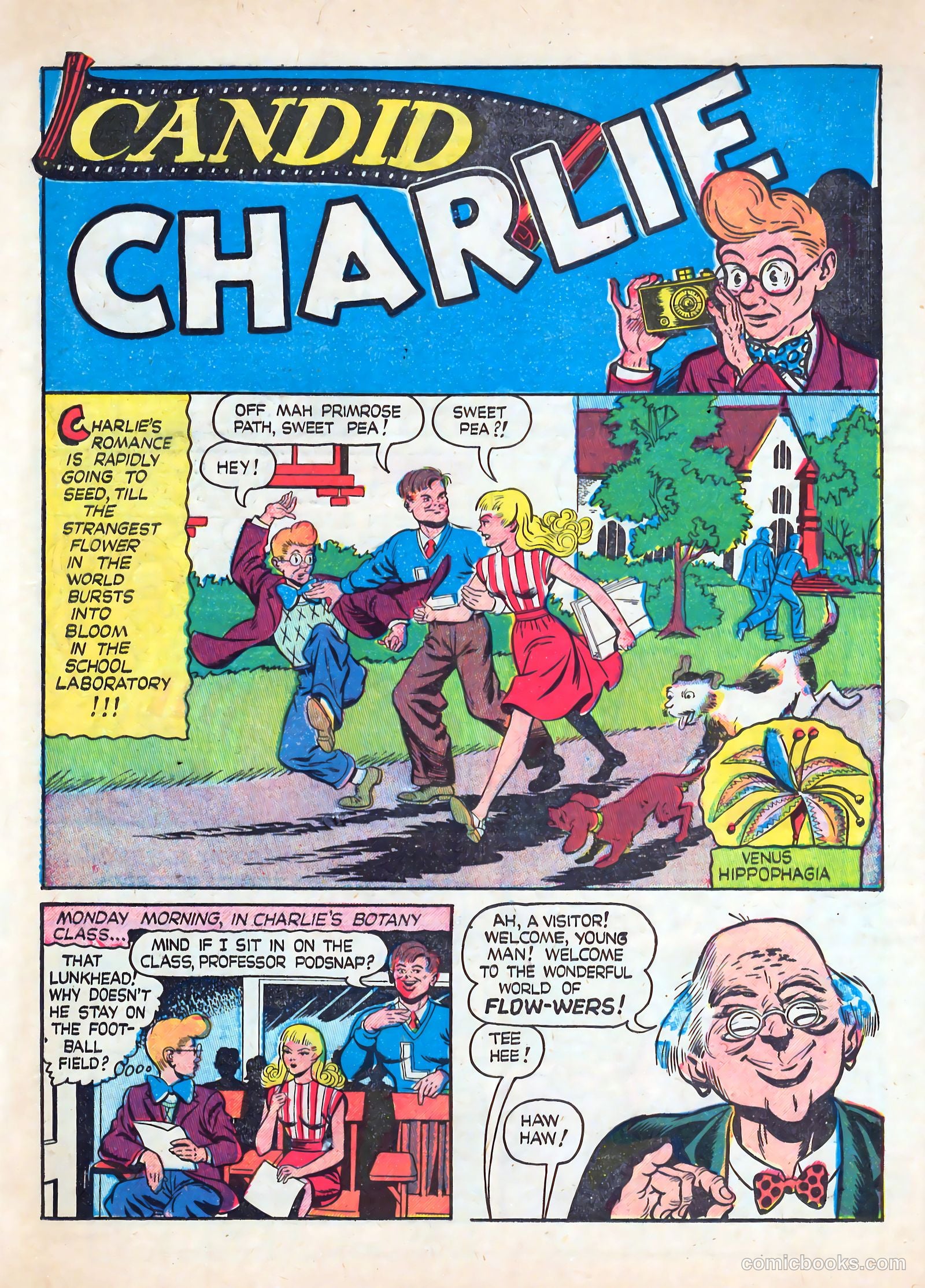 Blue Bolt #102 (1949) — page 19 of 36