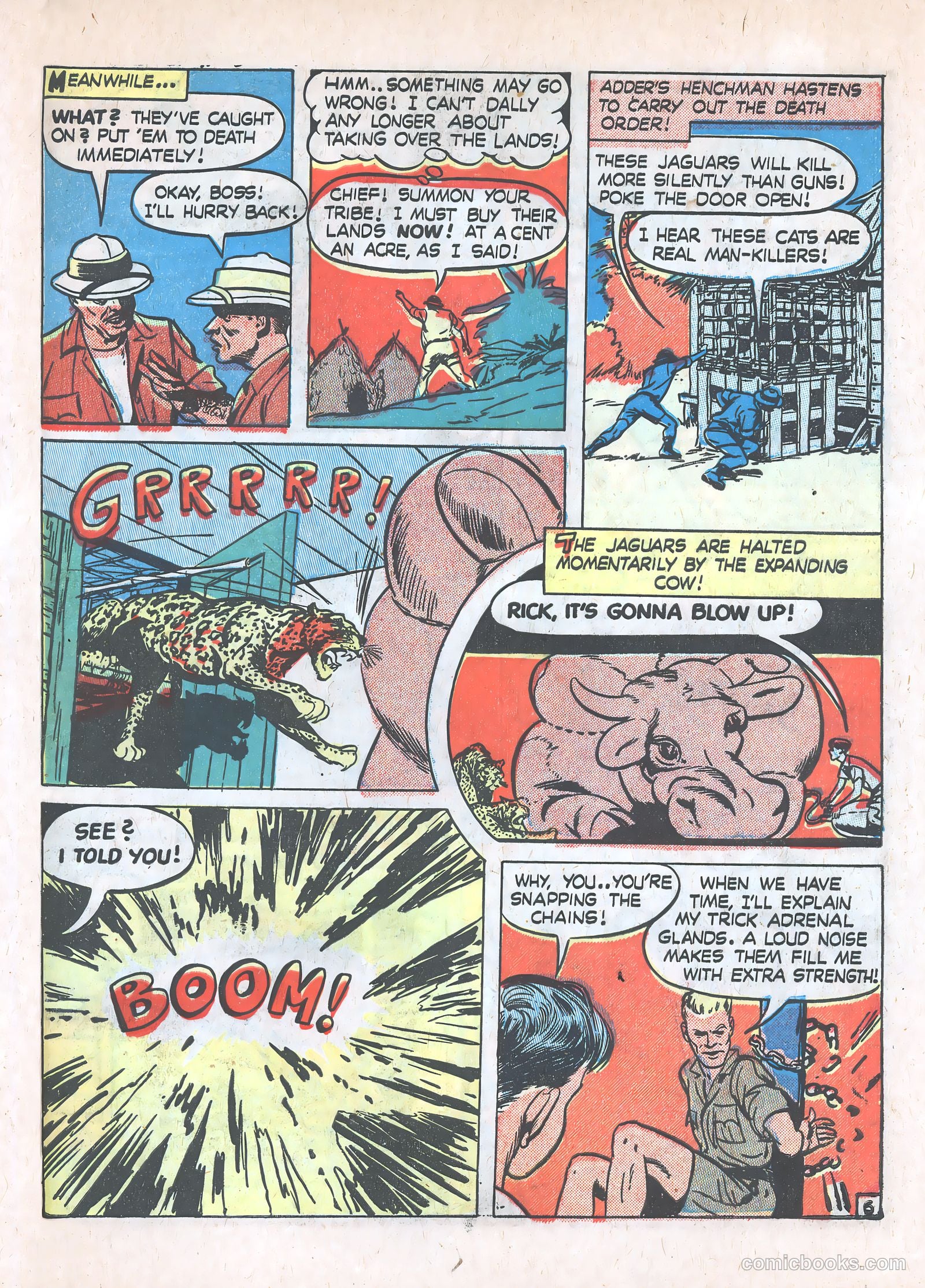 Blue Bolt #102 (1949) — page 31 of 36