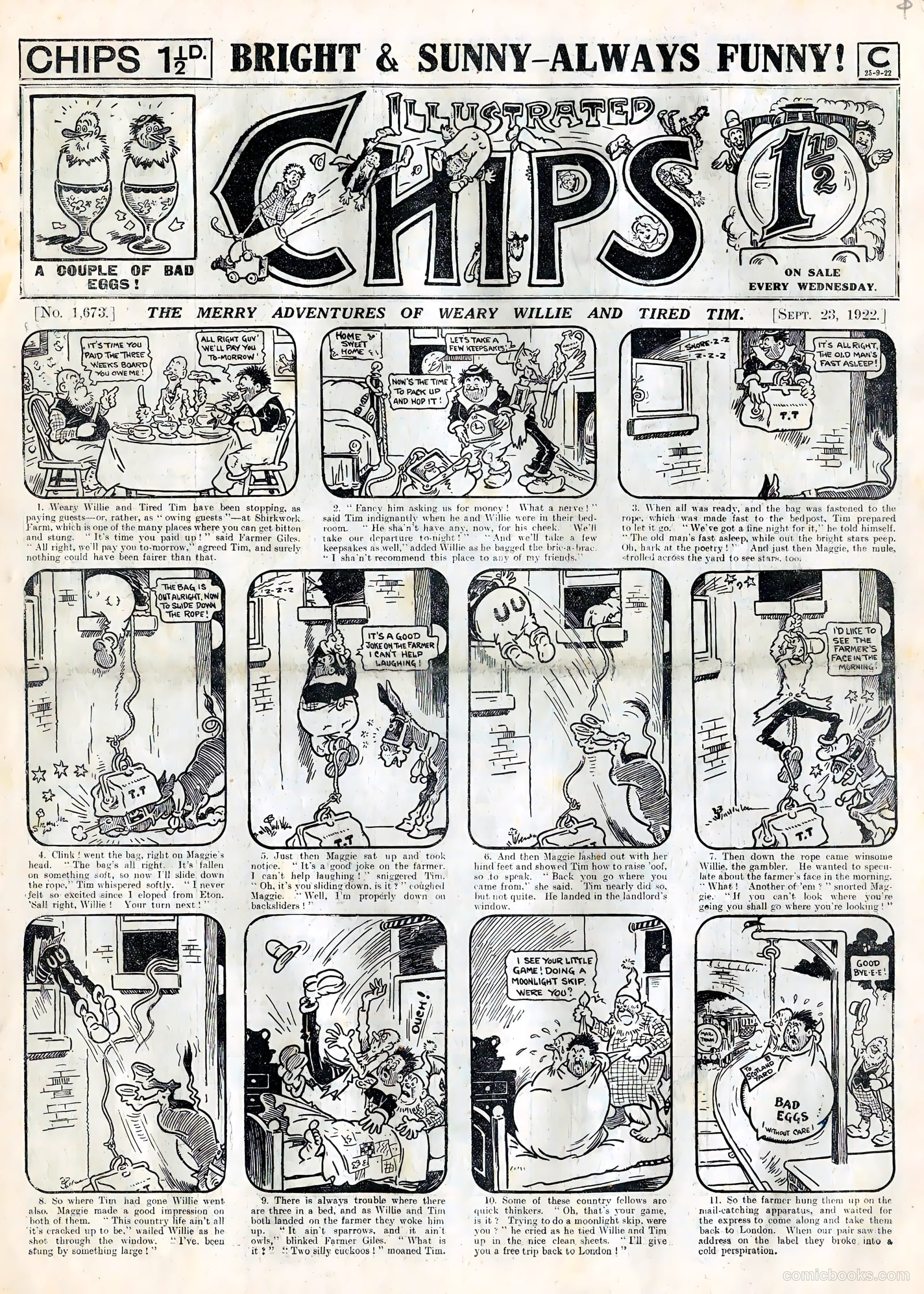 Illustrated Chips #1673