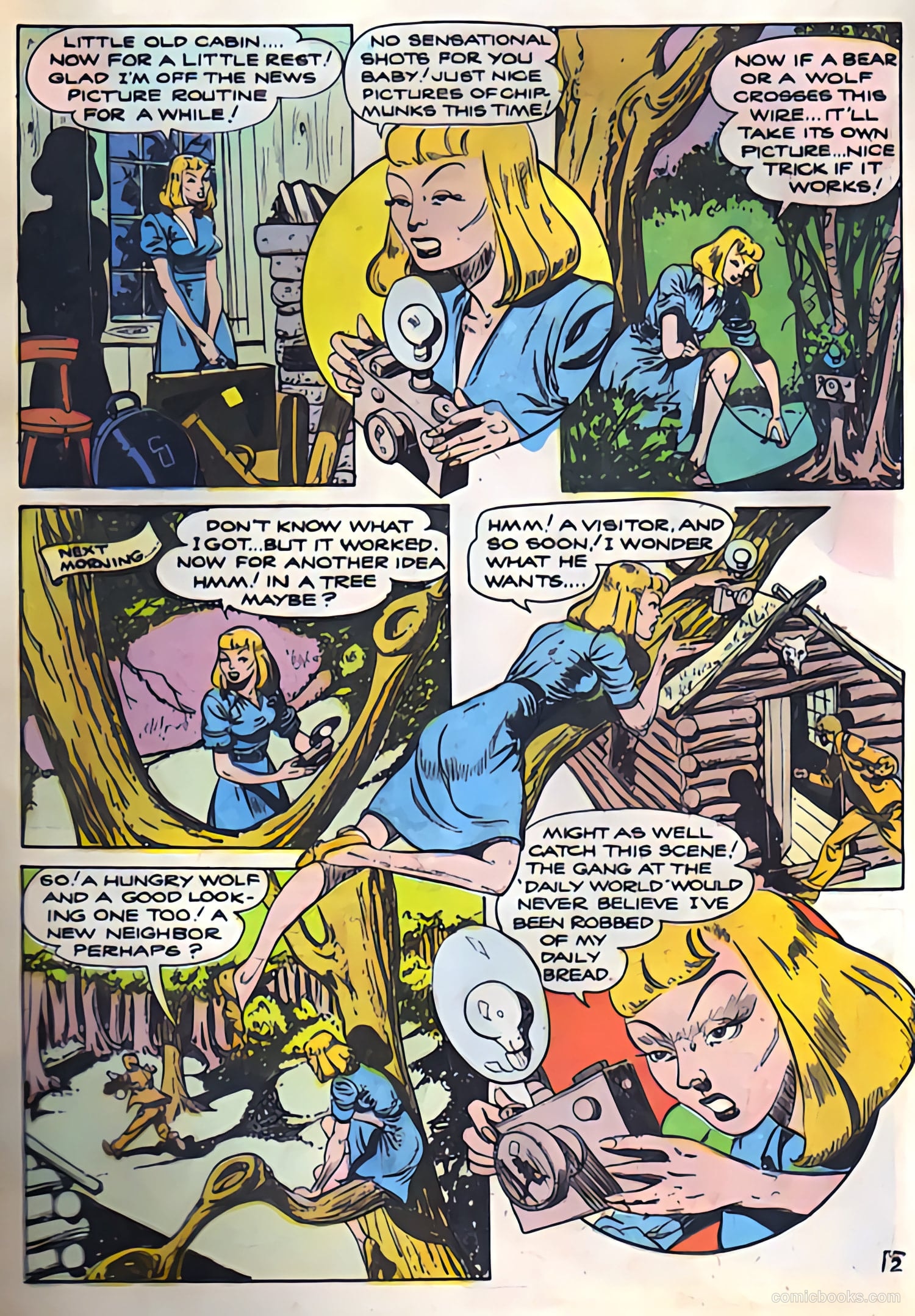 Camera Comics #9 (1944) — page 36 of 53
