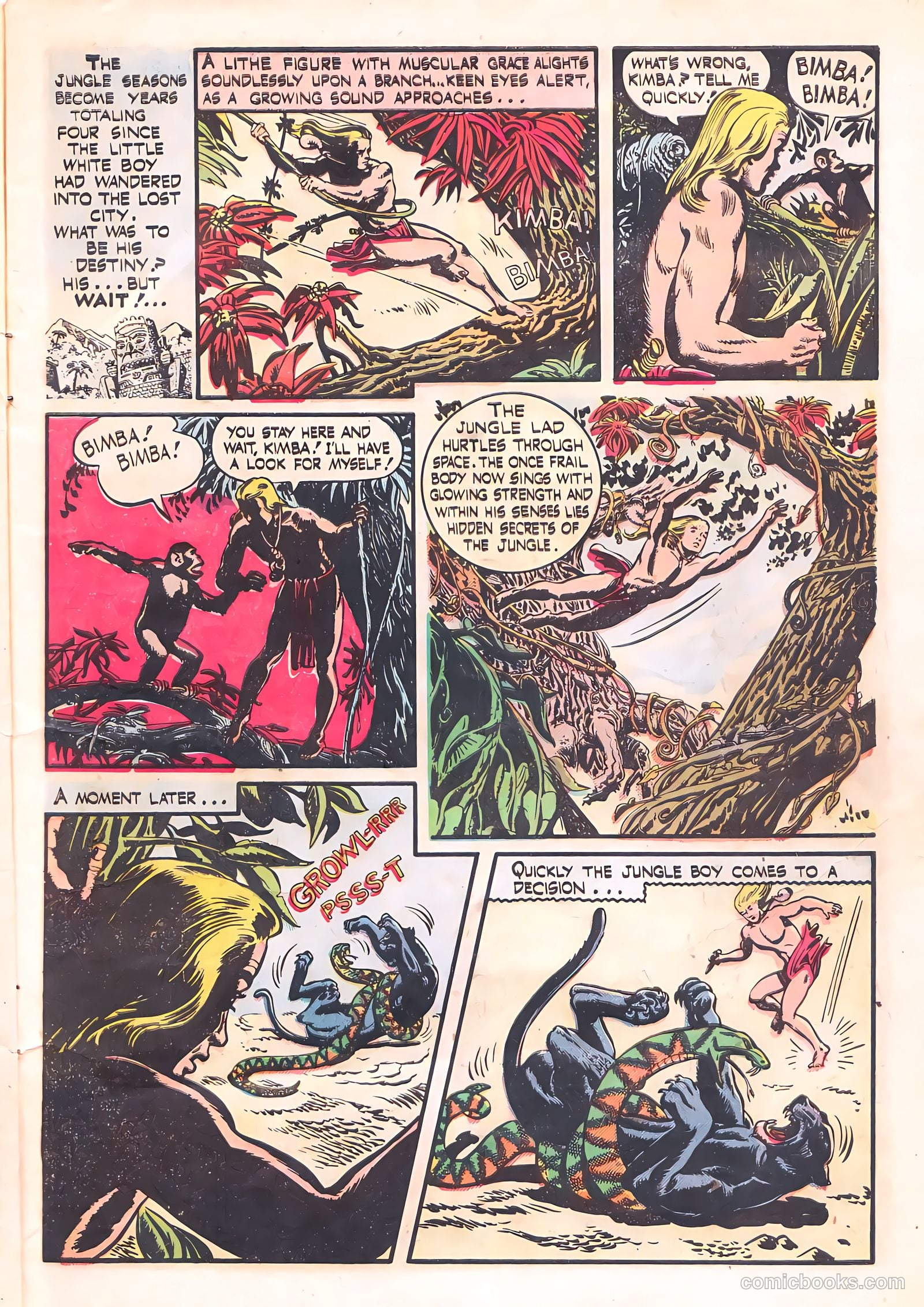 Wild Boy #1 — page 8 of 36