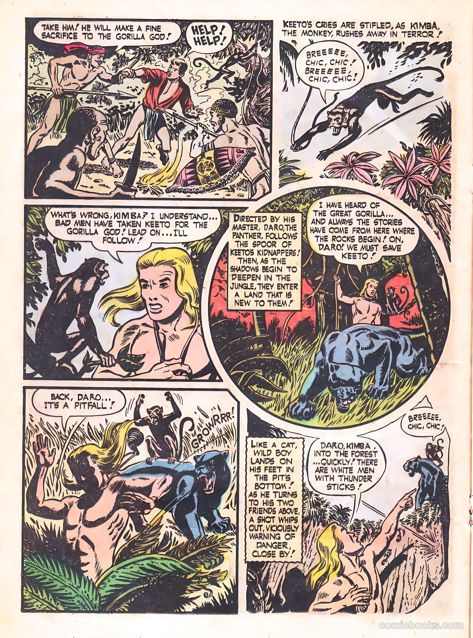 Wild Boy #1 — page 17 of 36