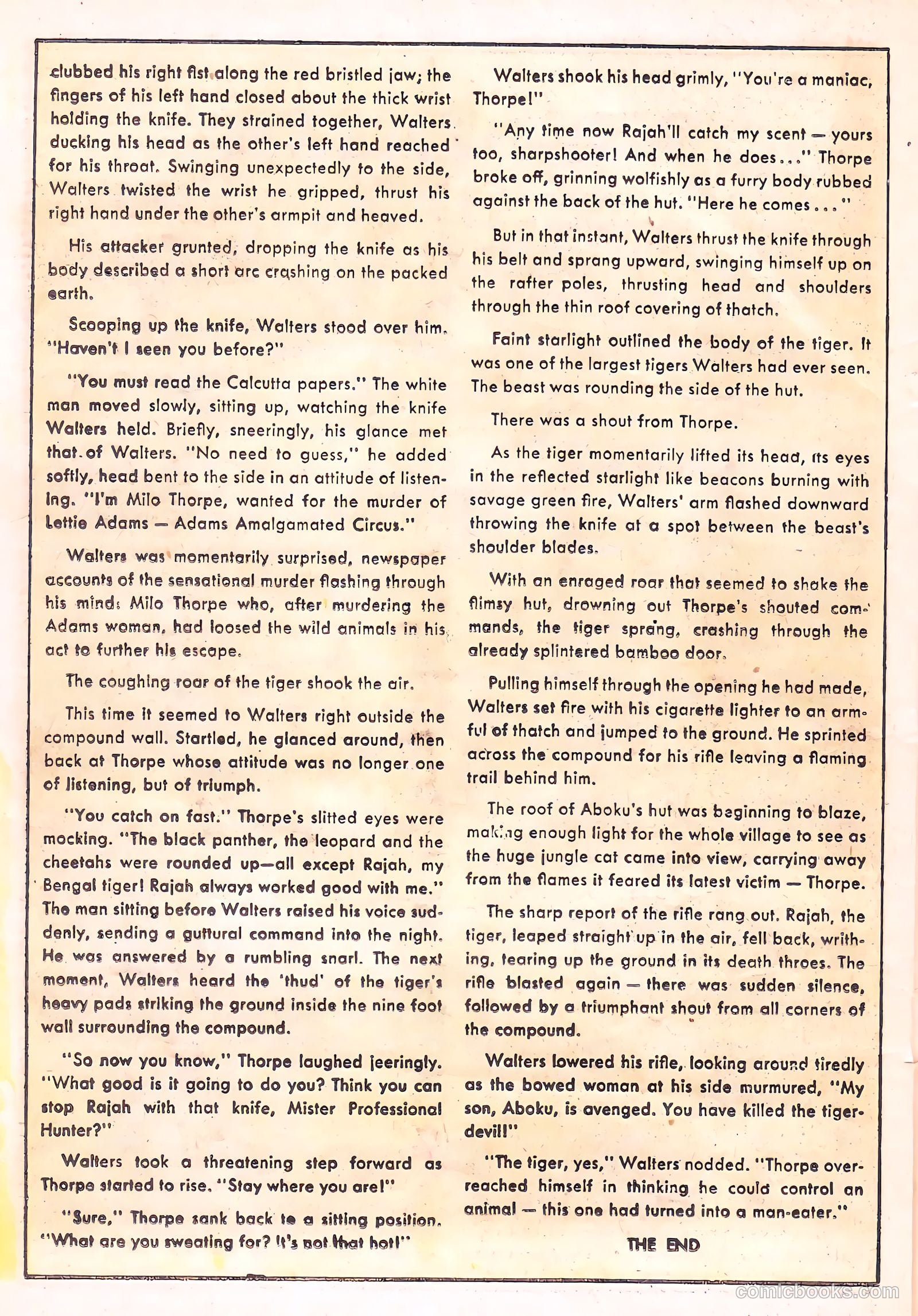 Wild Boy #1 — page 22 of 36
